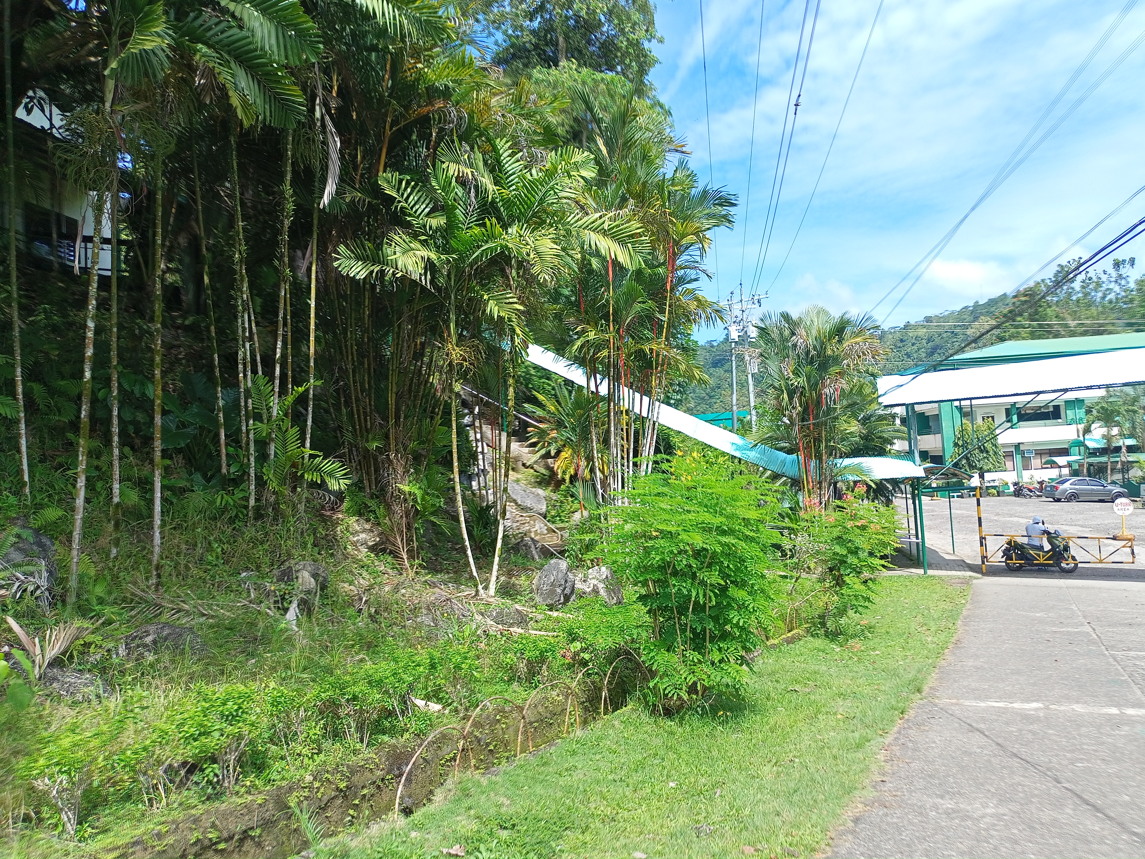 IMG20250325135053.jpg