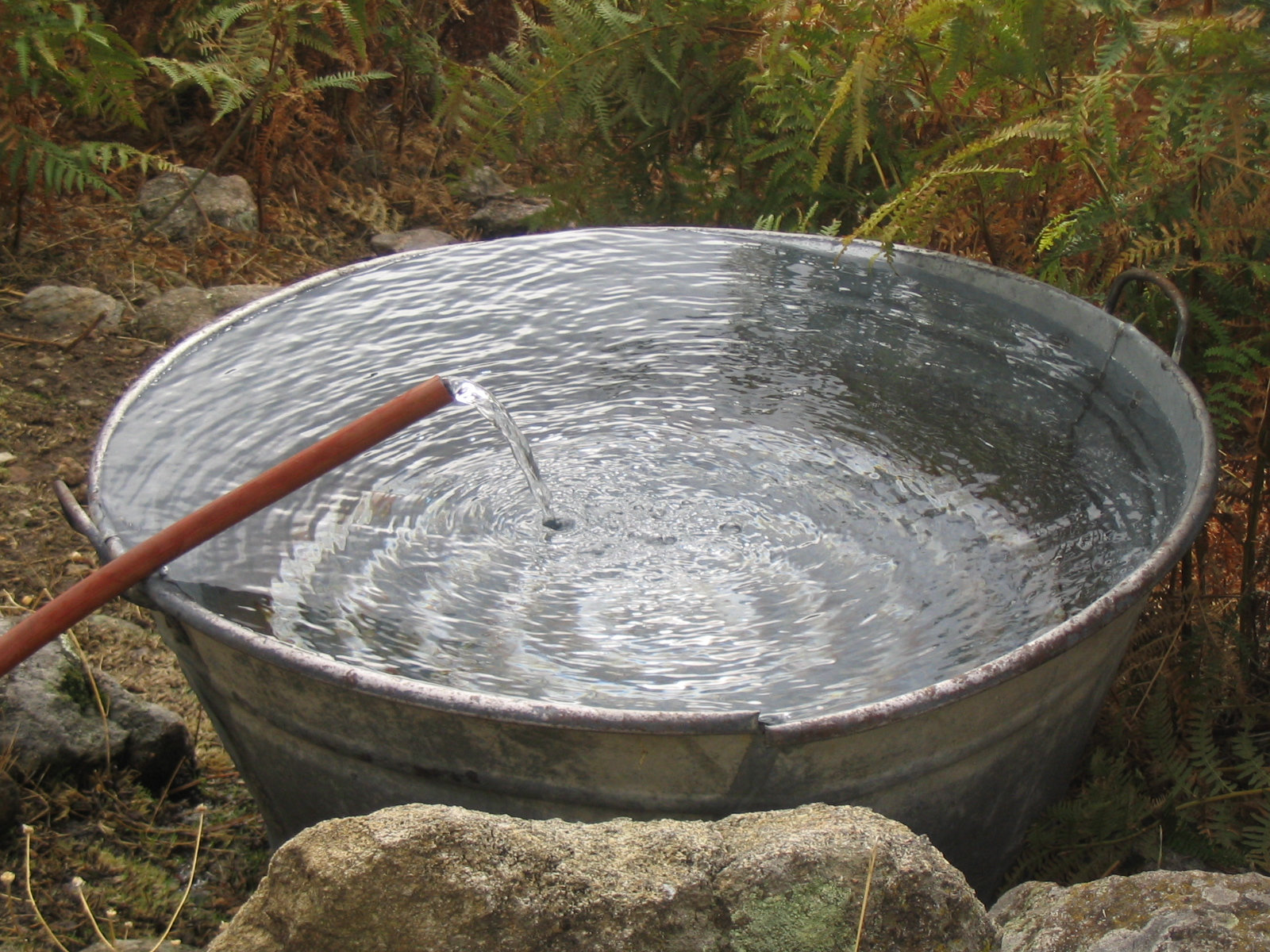 Gredos 20.jpg