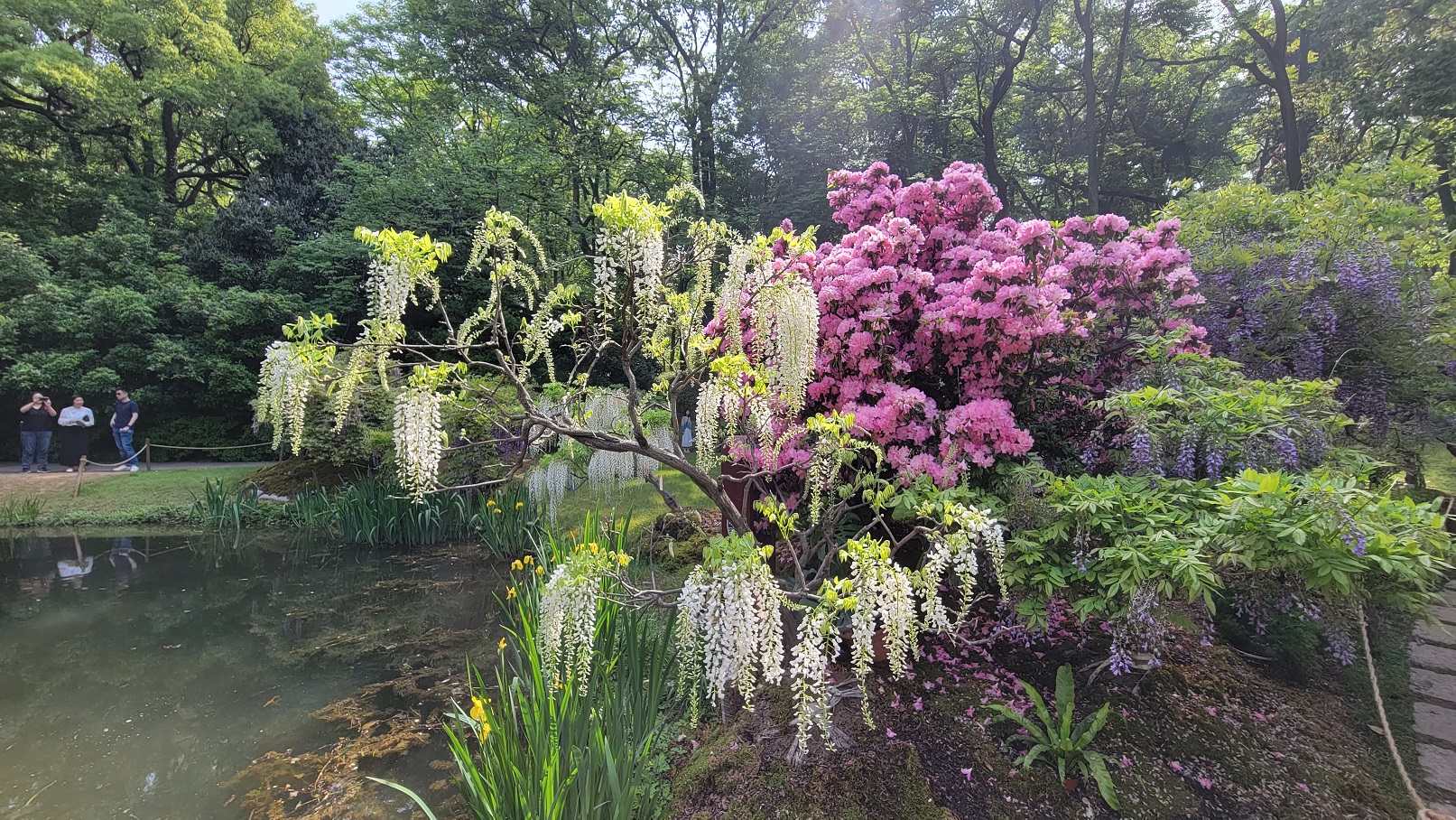 20230417_093320.jpg