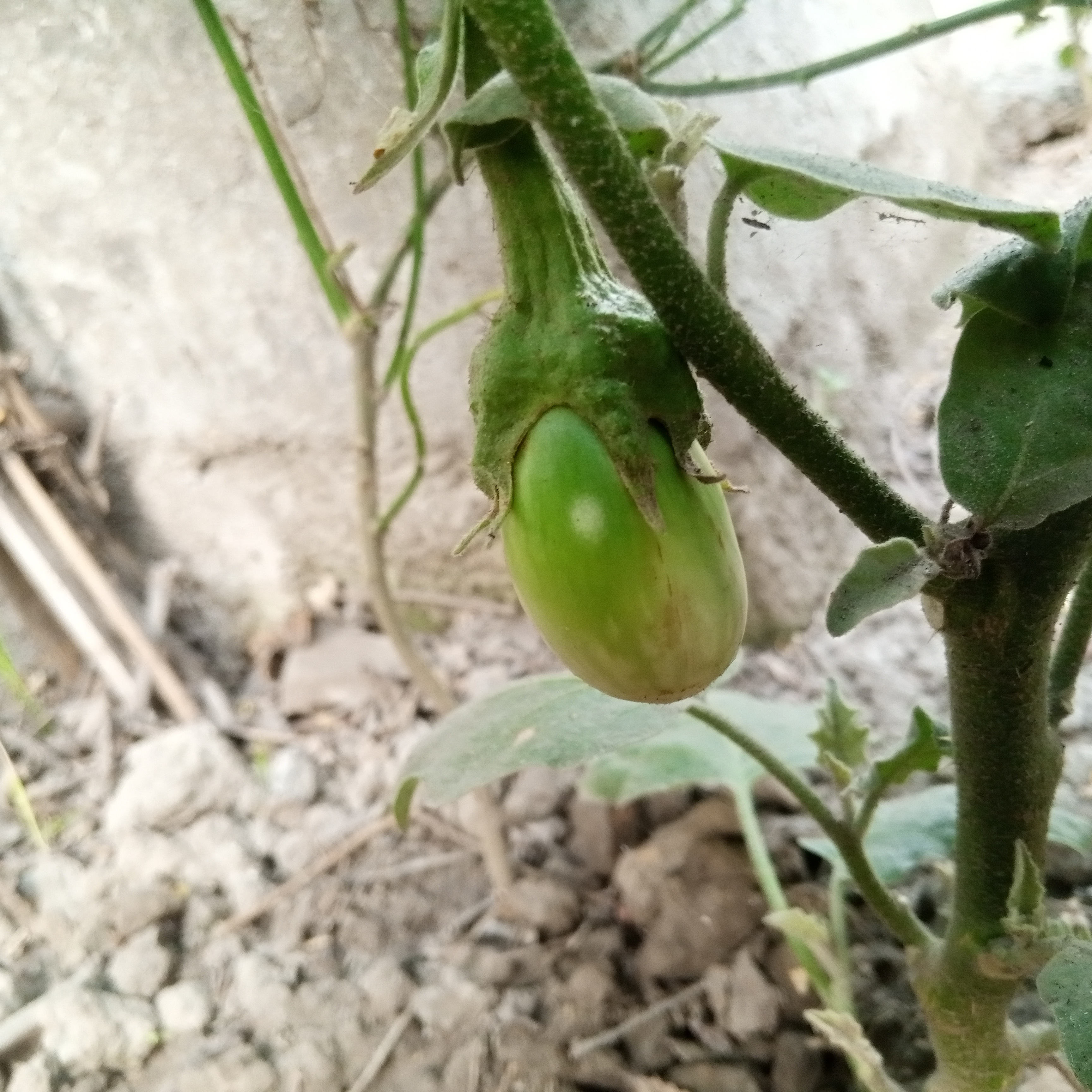 IMG_20240414_171205_787.jpg