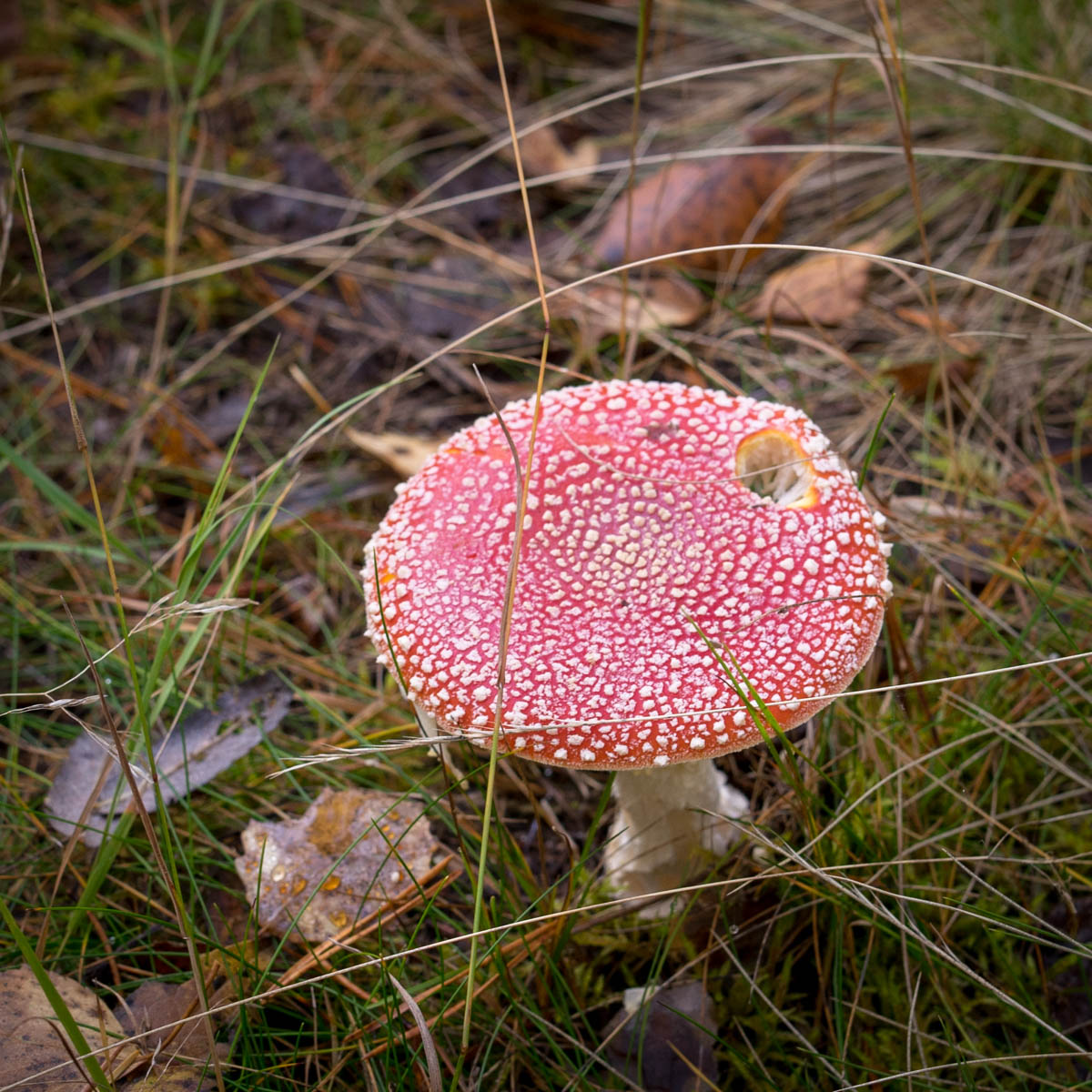 DSC03373.jpg