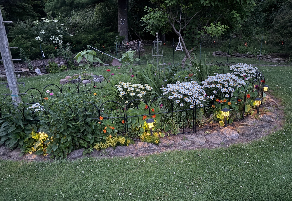 hivegarden-garden.jpg