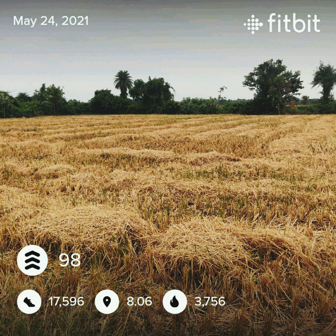 fitbitshare_525359673.jpg