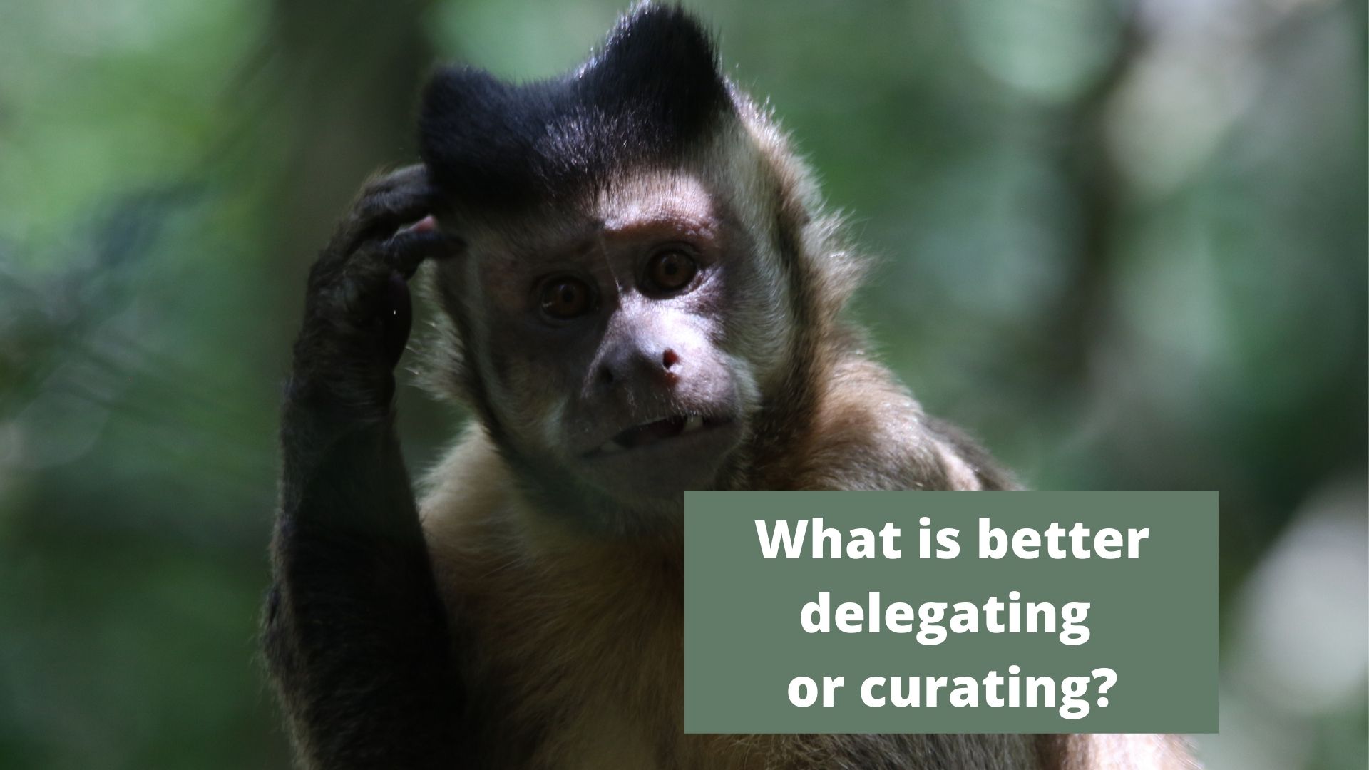 delegating or curating.jpg