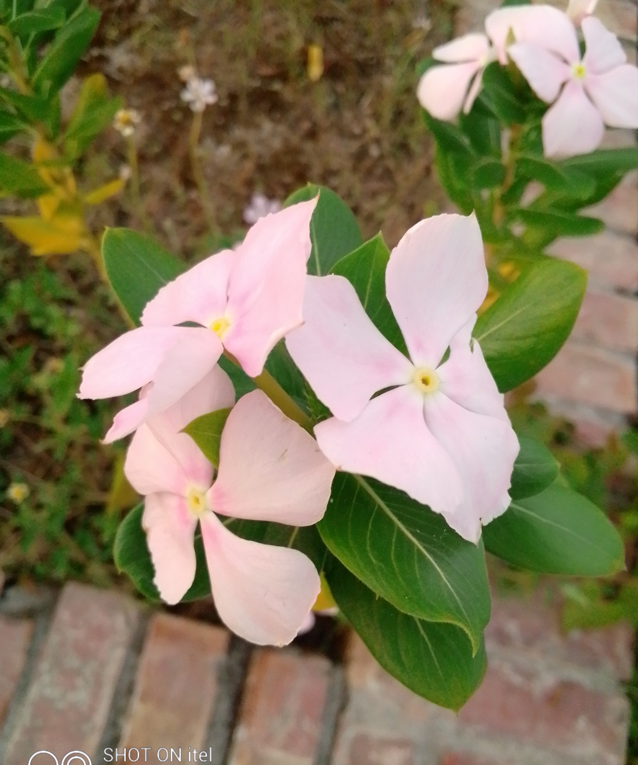 IMG_20220830_145217_870.jpg