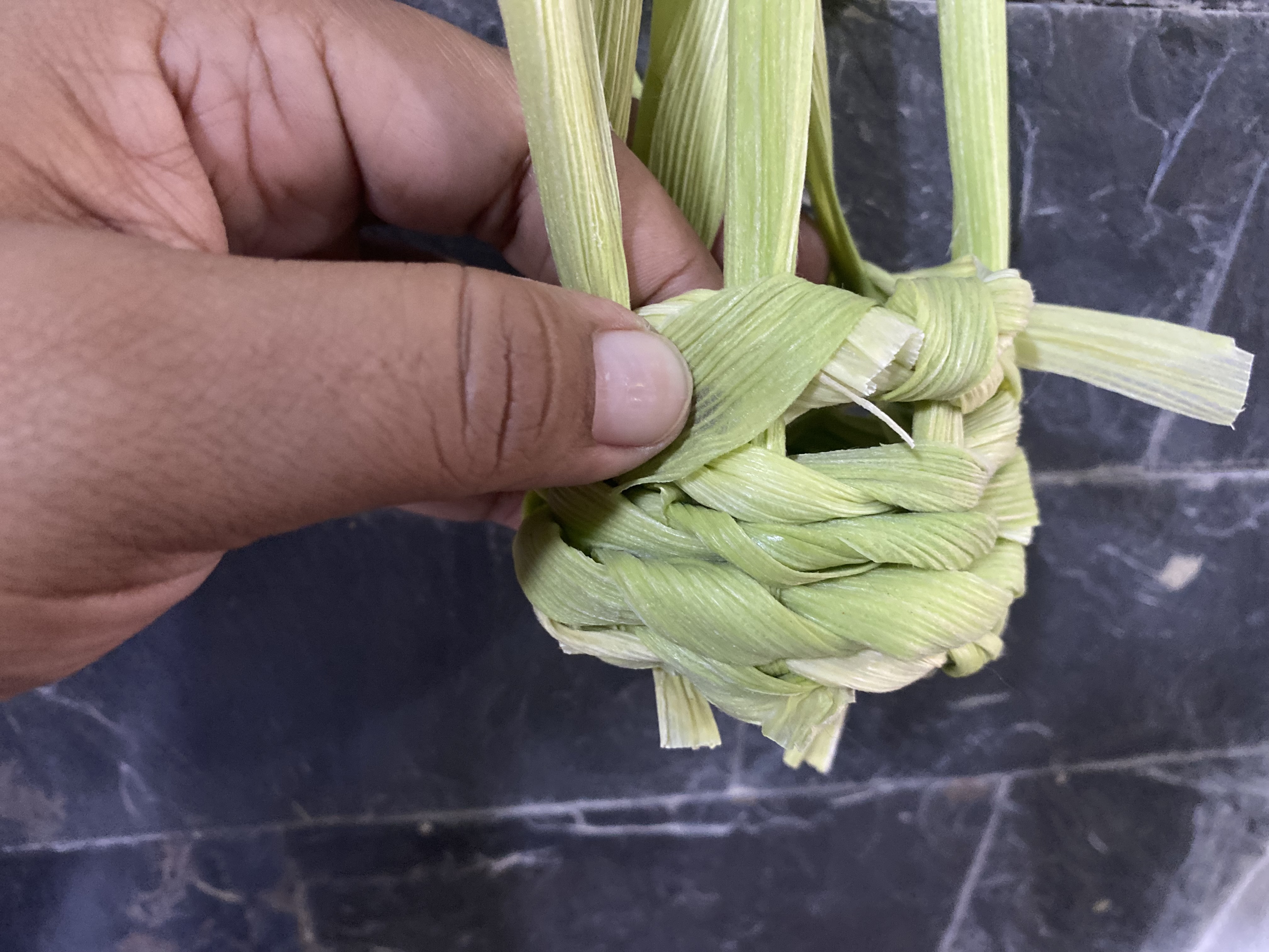 IMG_9210.jpeg