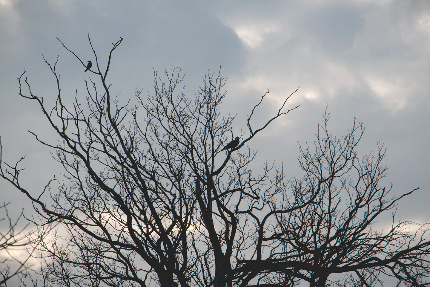  " "DSC_0327 copy.jpg""