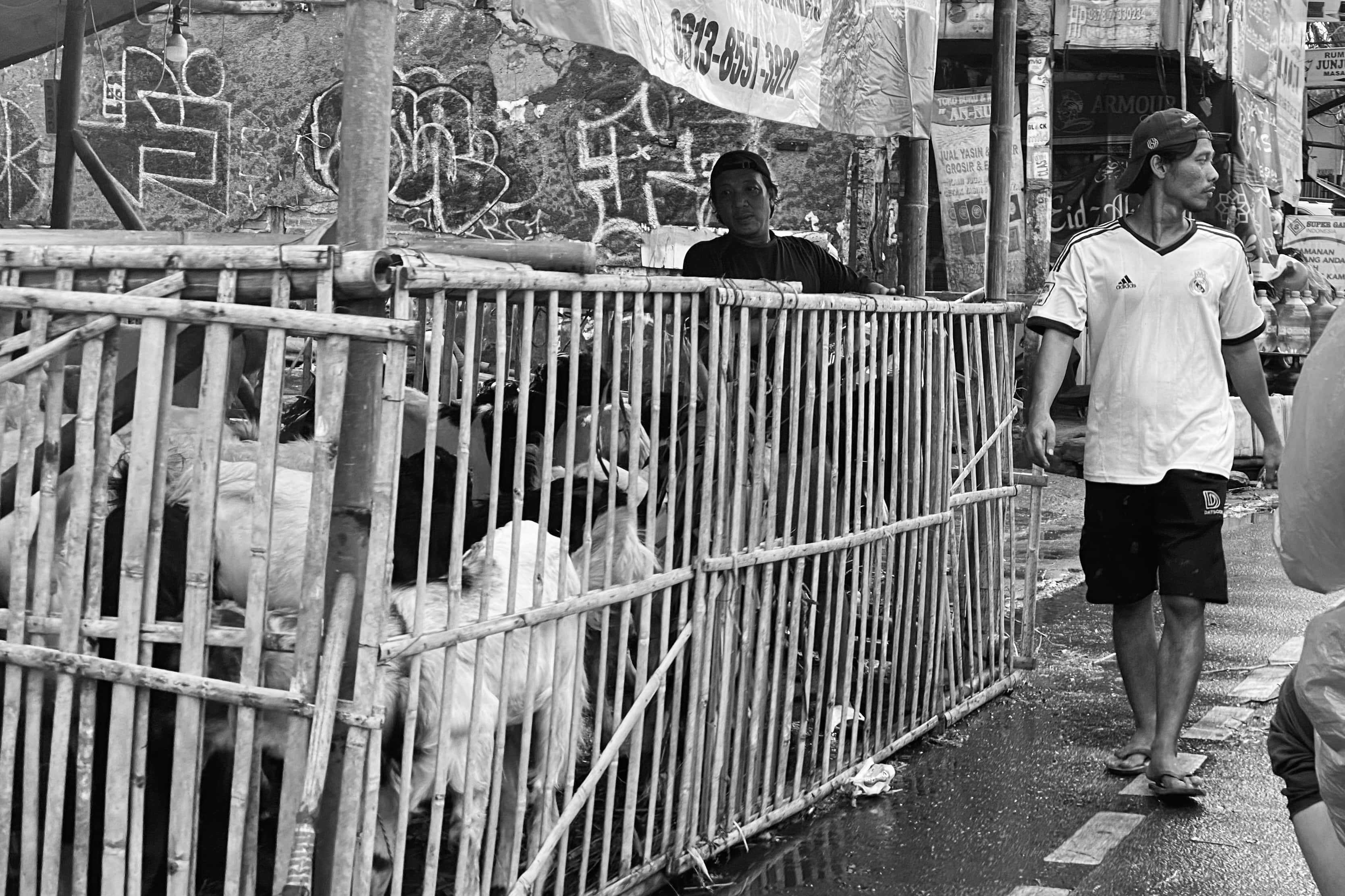 image00007-02-min.jpeg