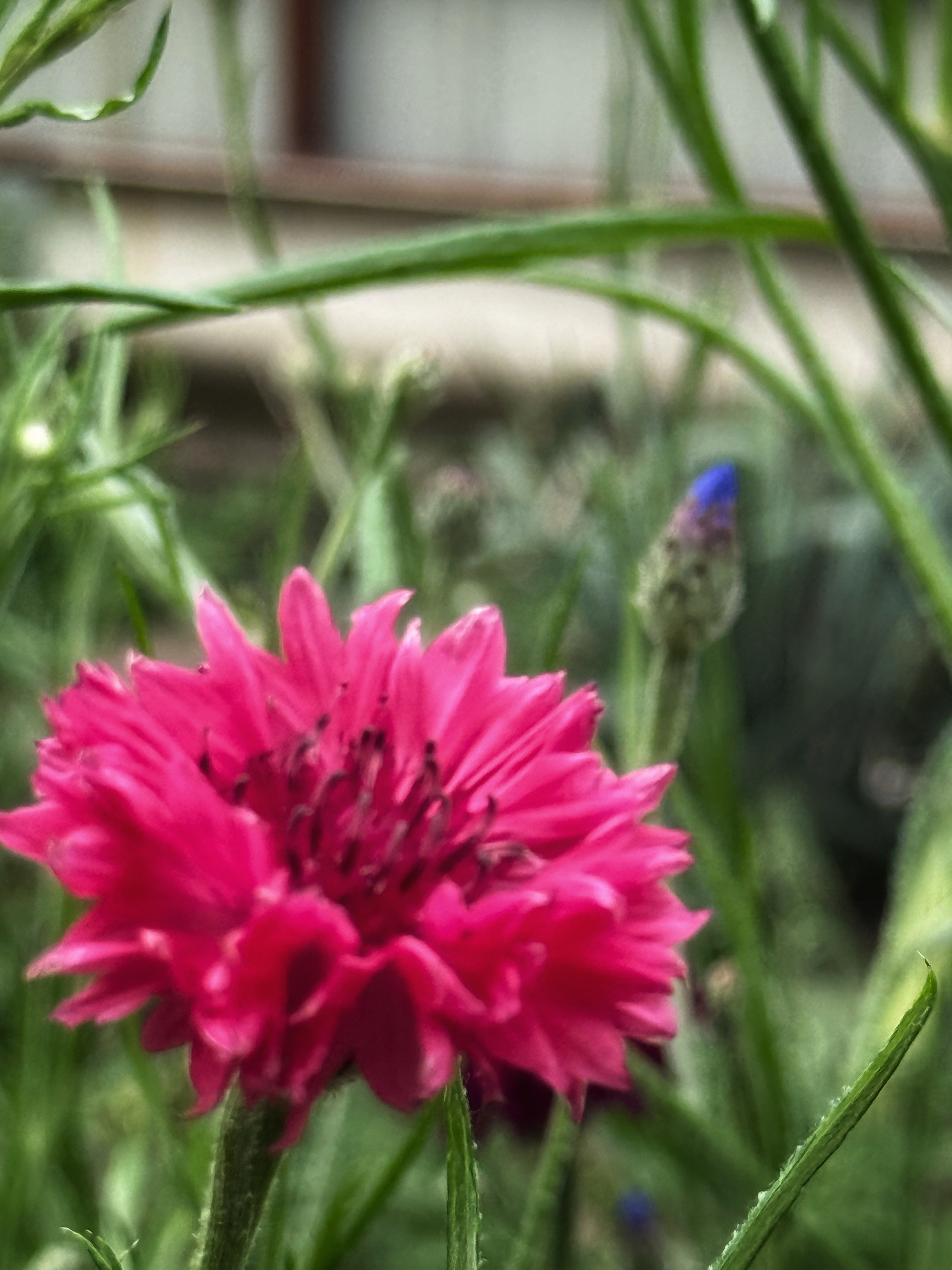 IMG_3298.jpeg