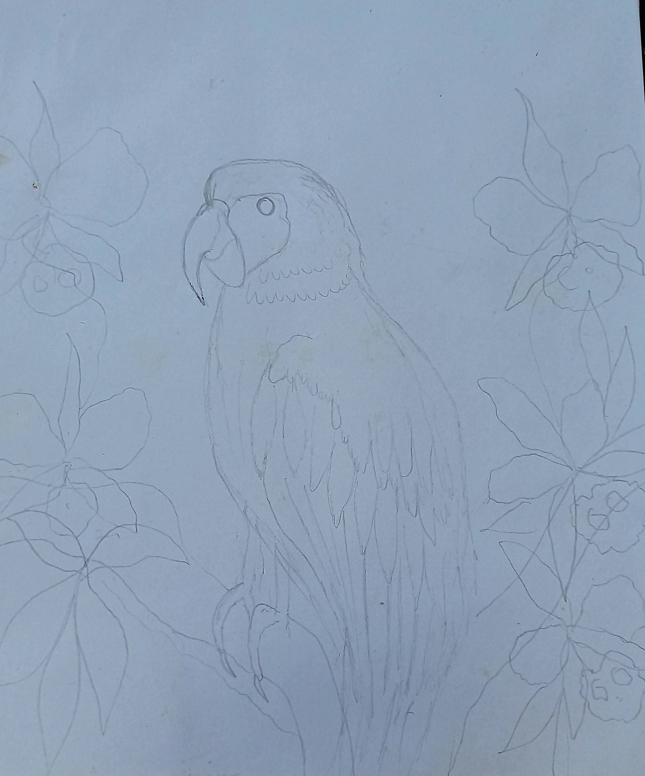 ESP/ENG] Hermoso dibujo inspirado en una guacamaya/Beautiful drawing  inspired by a macaw. — Hive