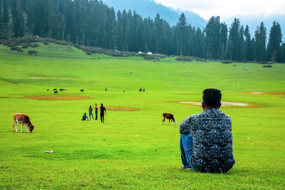 Doodpathri Budgam Srinagar. jammu kashmir 2.jpg