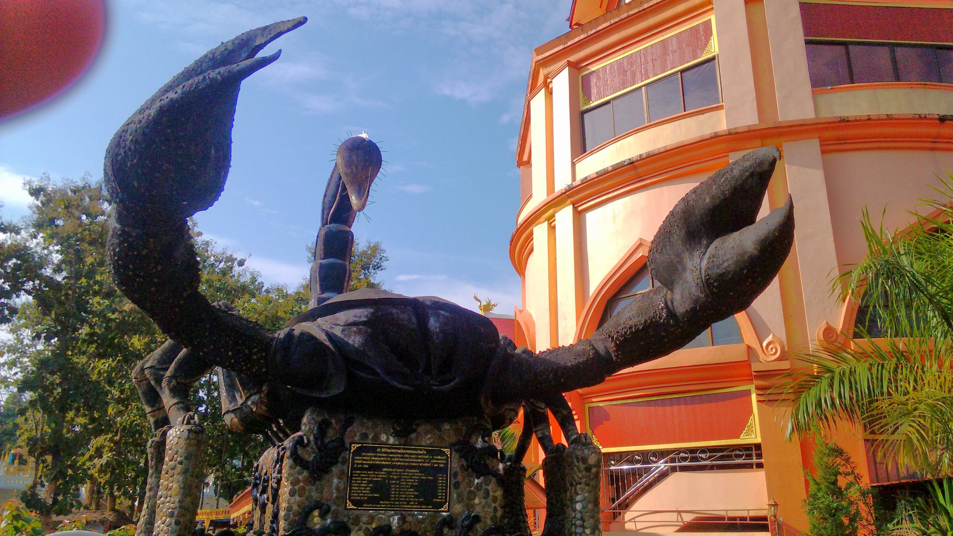 IMG_20131208_092044-edited.jpg