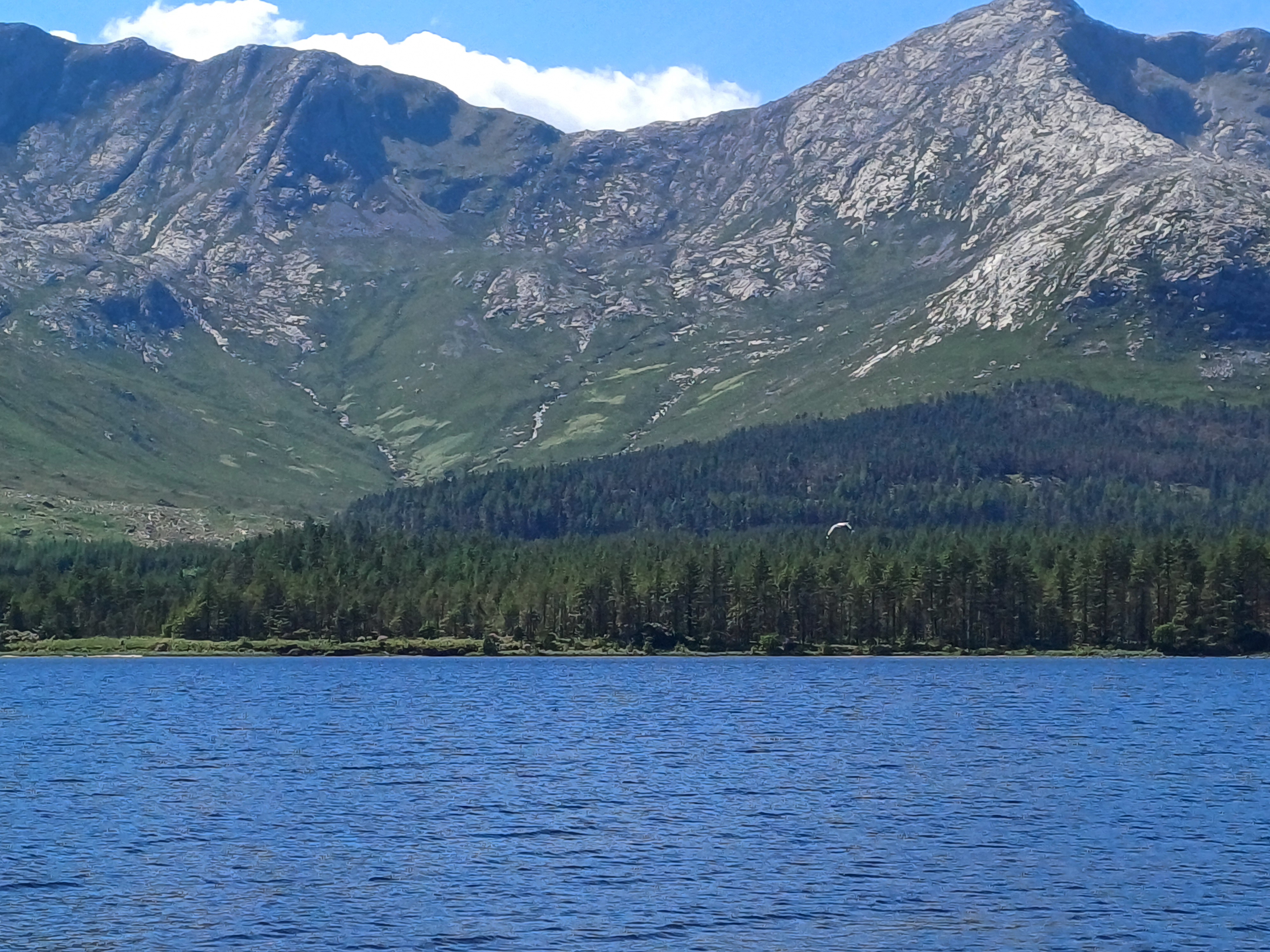 20250518_144211.jpg