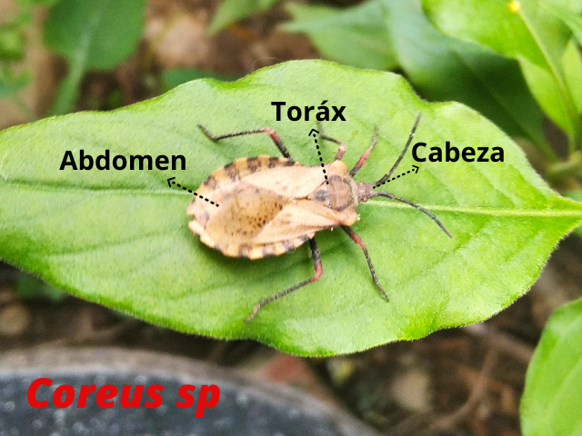 Agregar un título(6).png