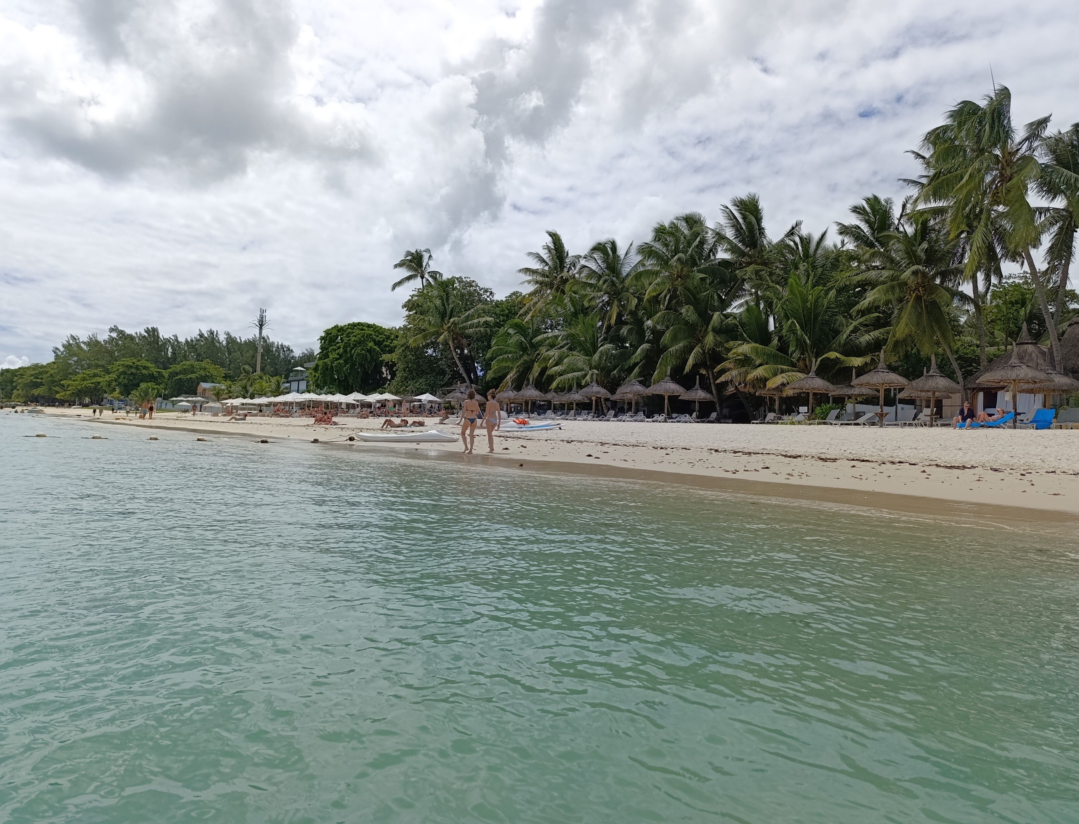 IMG_20250406_113145.jpg