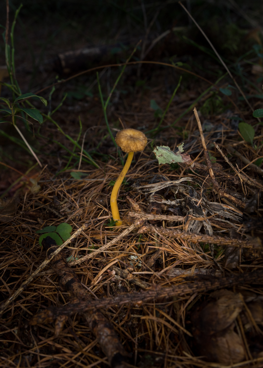 DSC05913.jpg