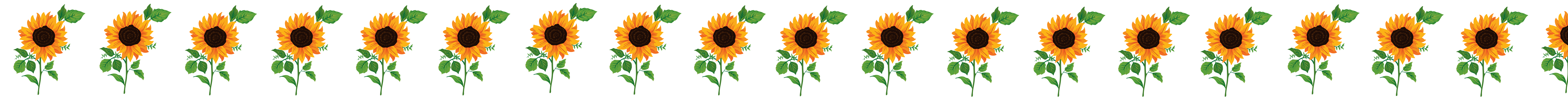 Separador girasoles.png