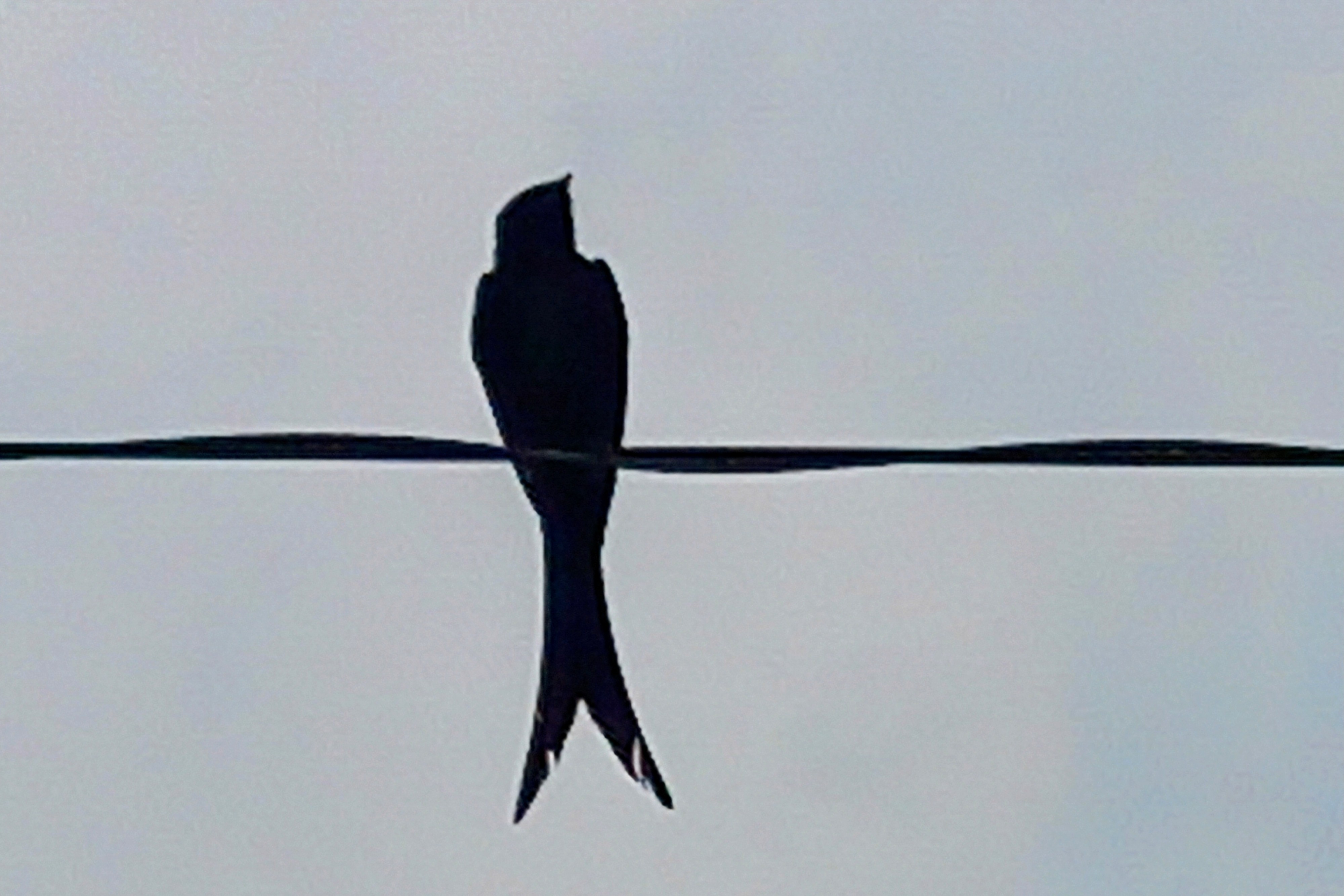 20250415_132811~3.jpg