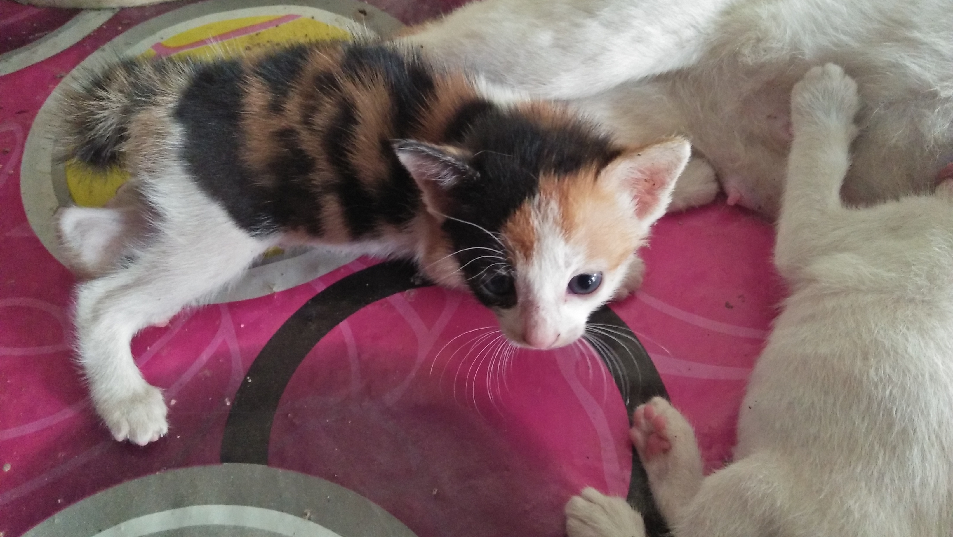 IMG20210222113614.jpg