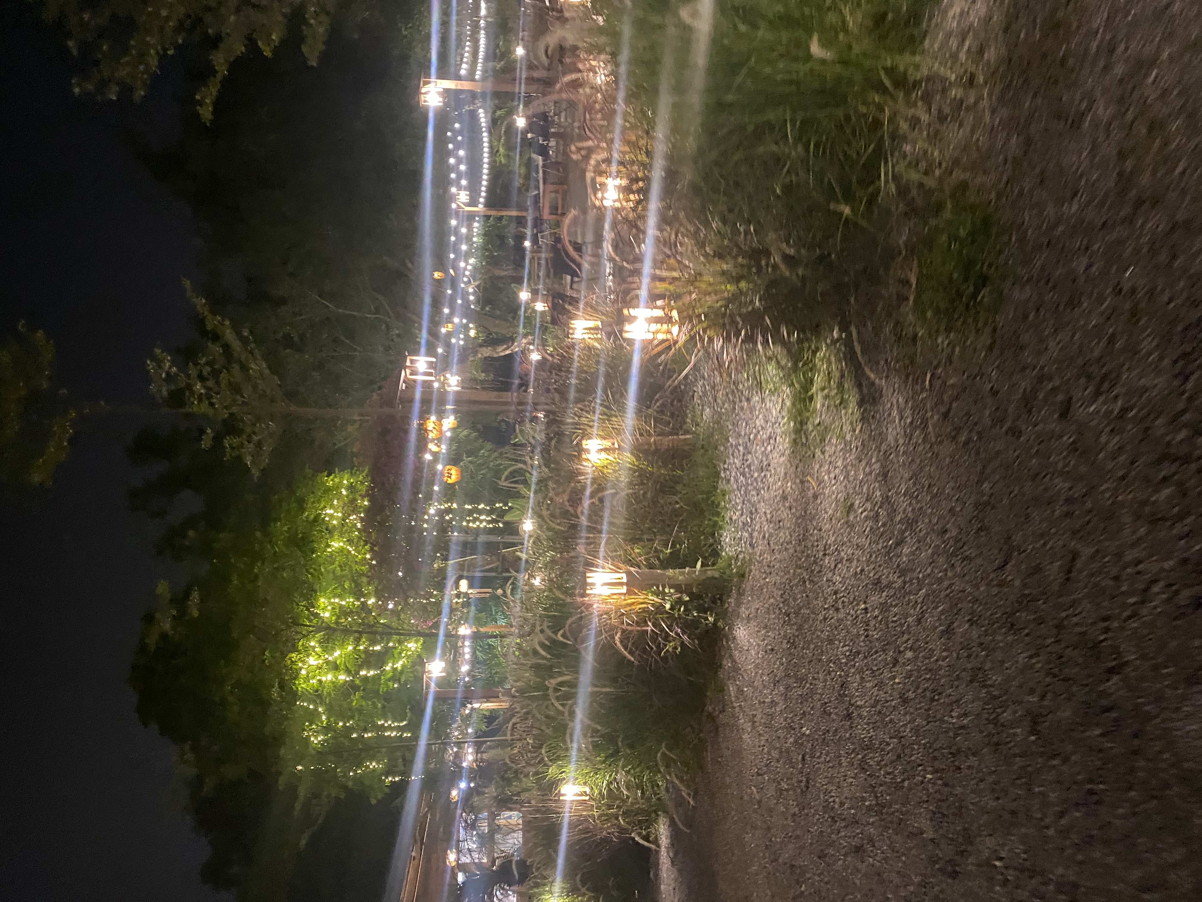 IMG_7552.jpeg
