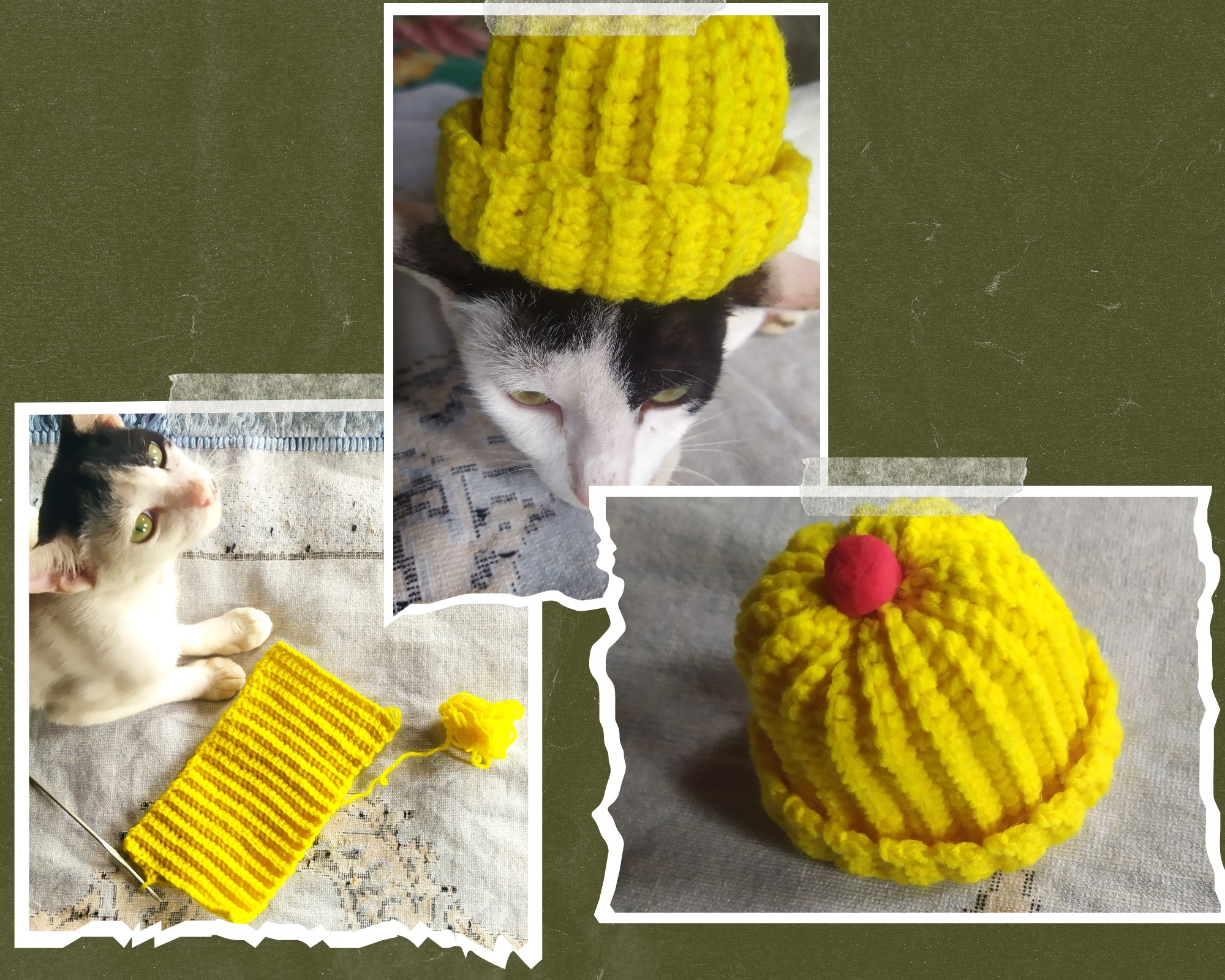 My Cat's New Handmade Hat - Cozy and Cute.jpeg