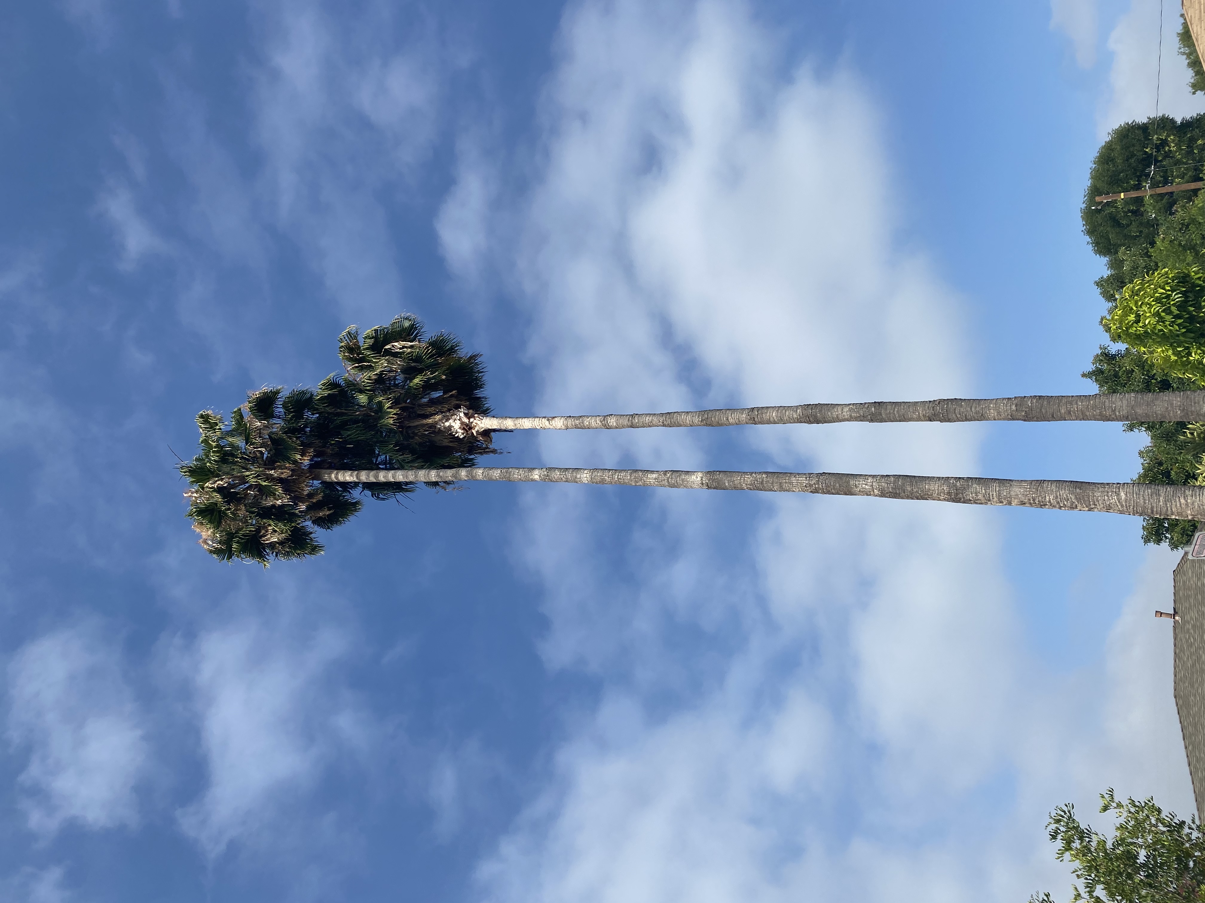 4B07D97B-C1FA-454A-AC63-886AFC1DC846.jpeg