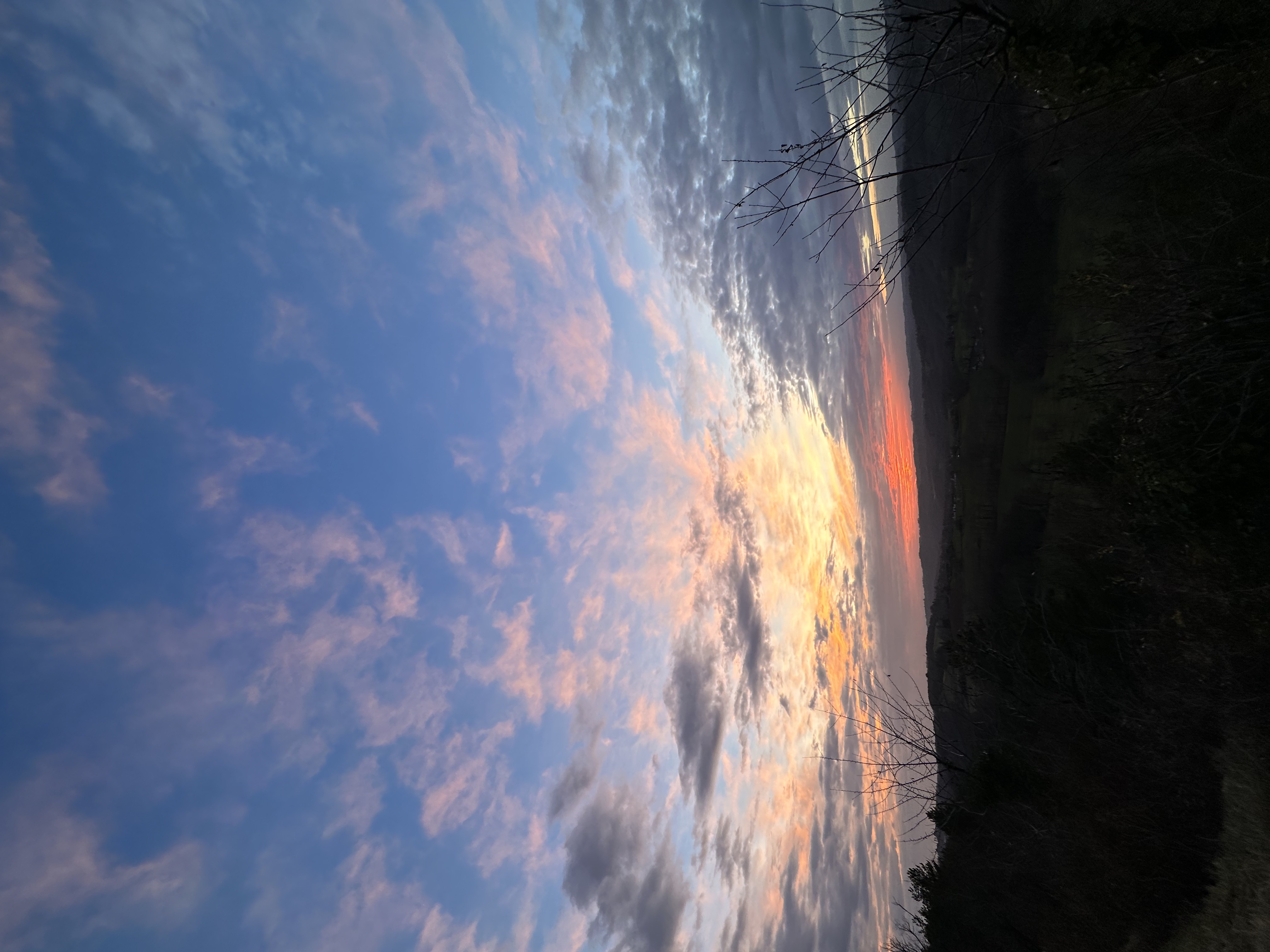 IMG_9077.jpeg