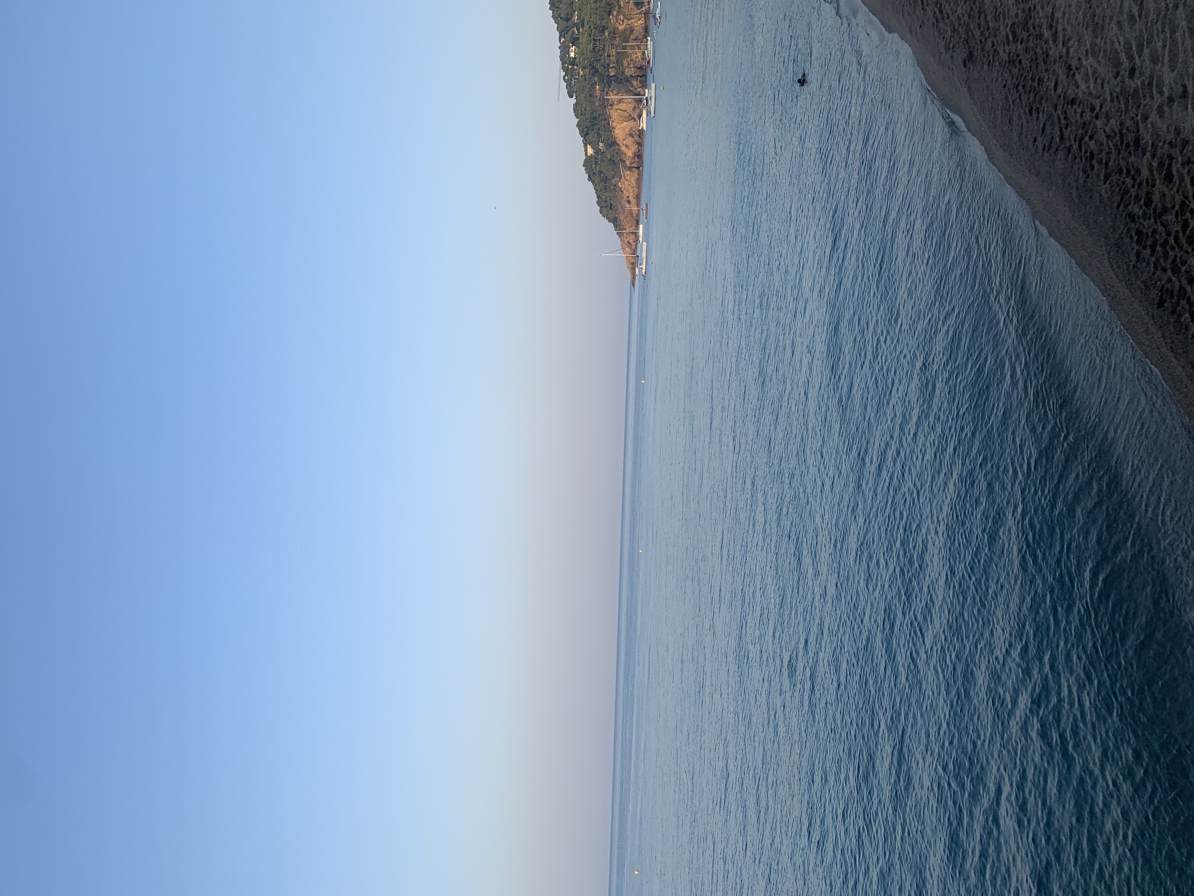 IMG_2013.jpeg