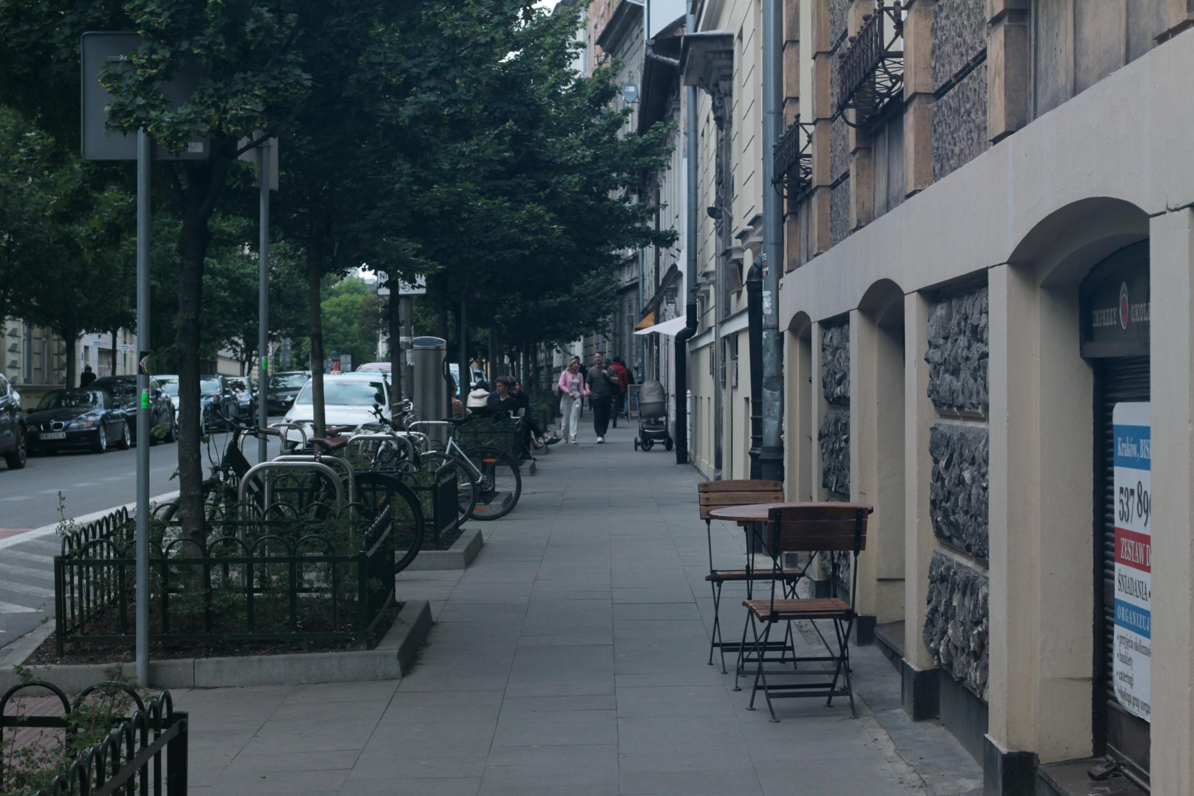 IMG_7320-crop.JPG