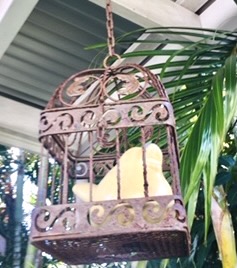 IMG_4425.jpeg