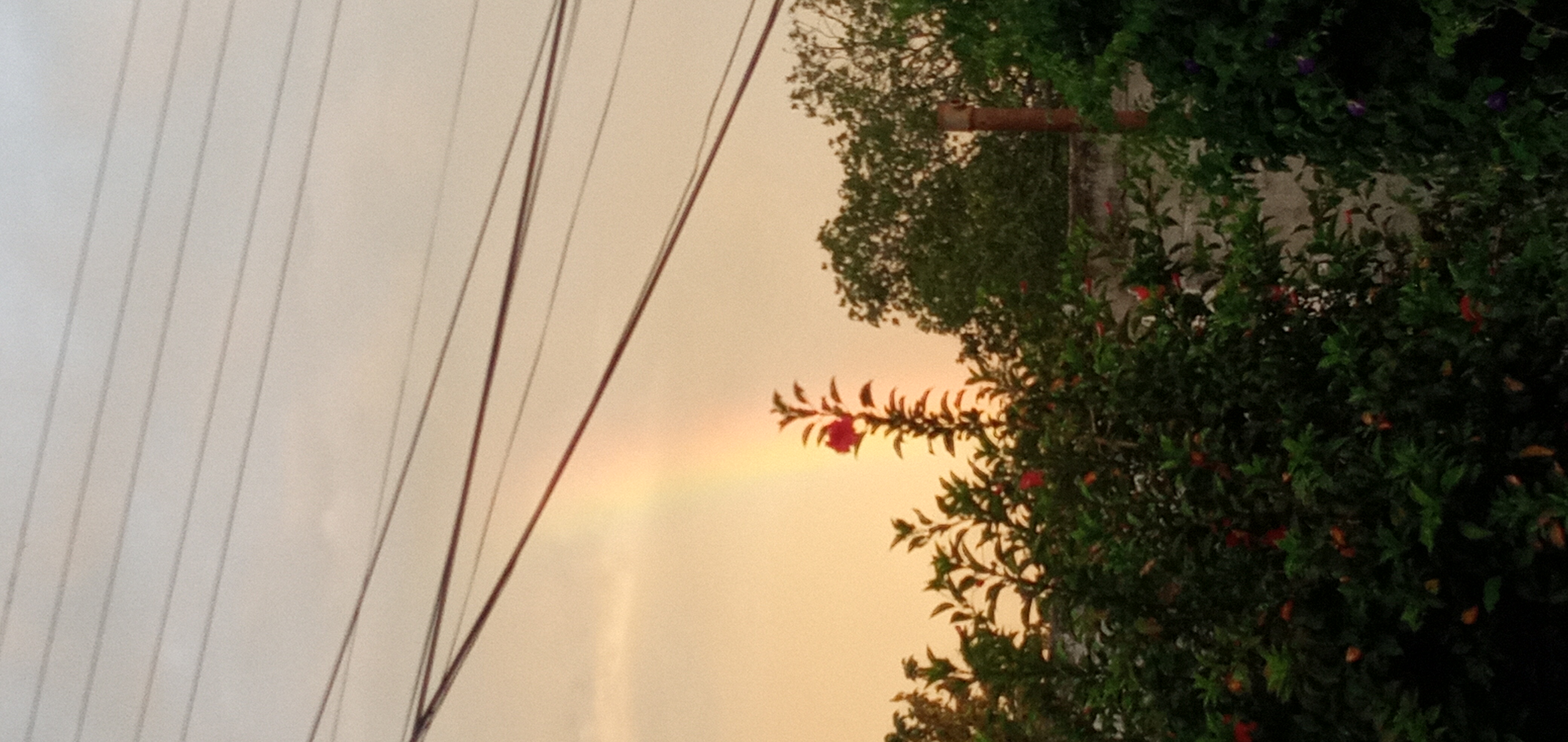 20250814_183400.jpg