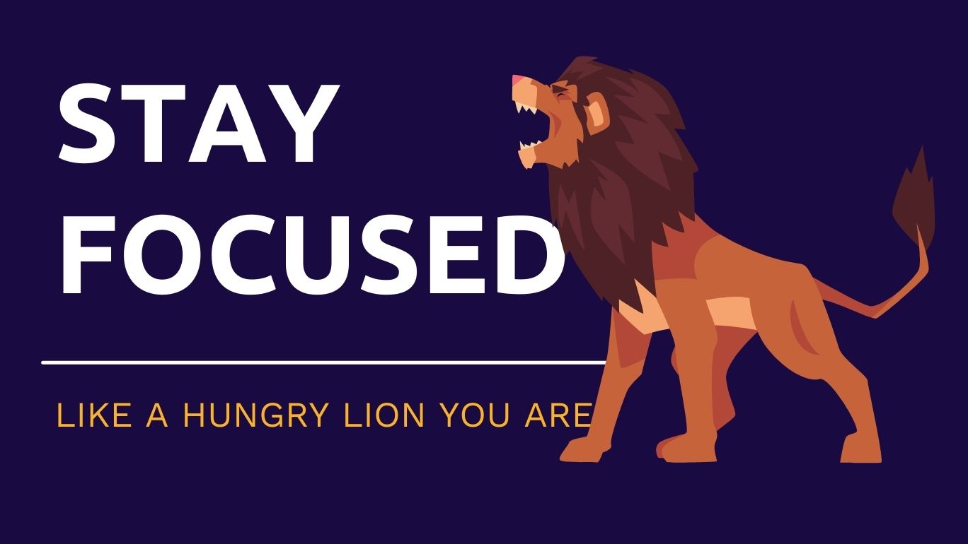 stay_focused_like_a_hungry_lion.jpg