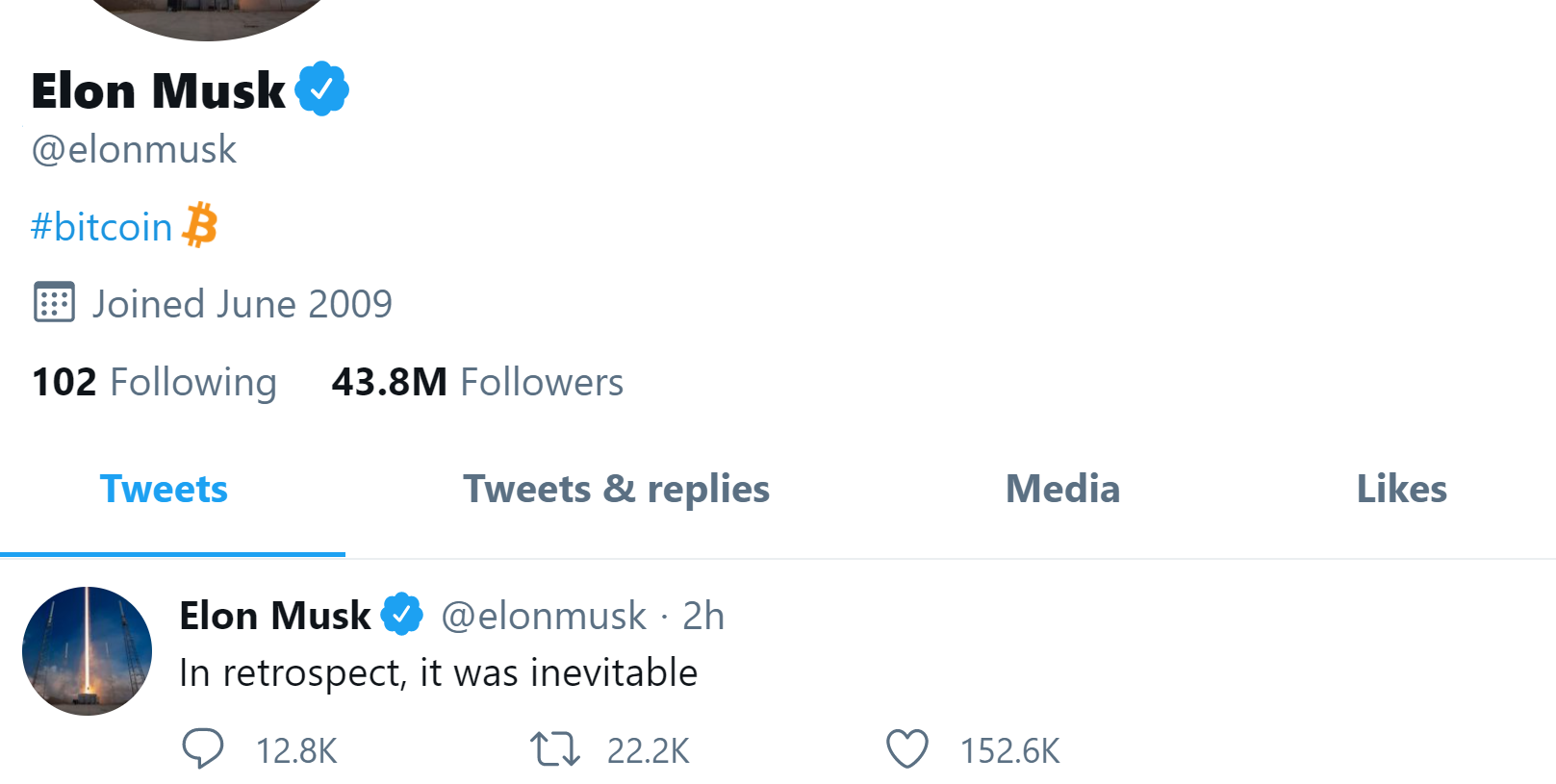 elonmusktwitterprofile1.png