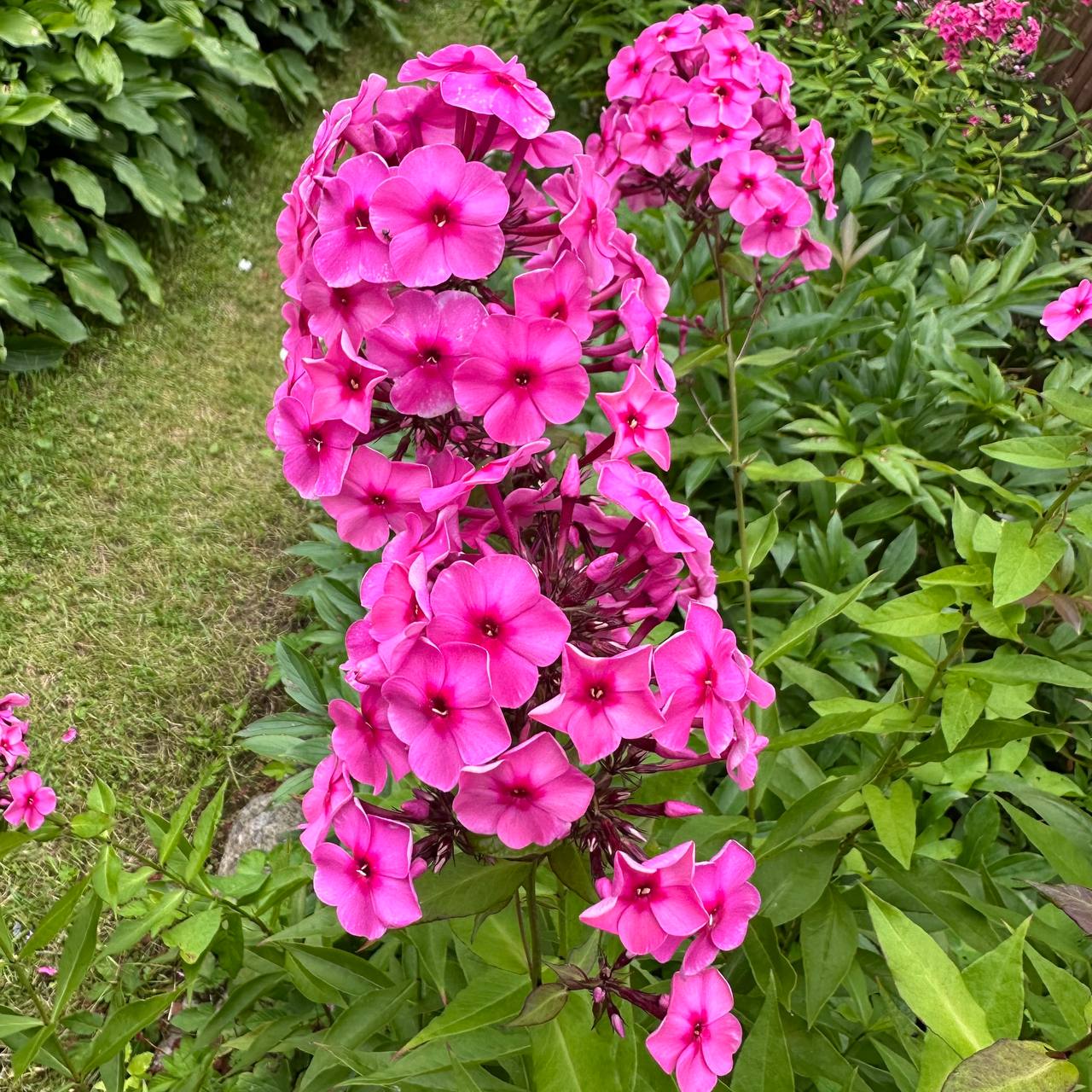 IMG_5406.jpeg