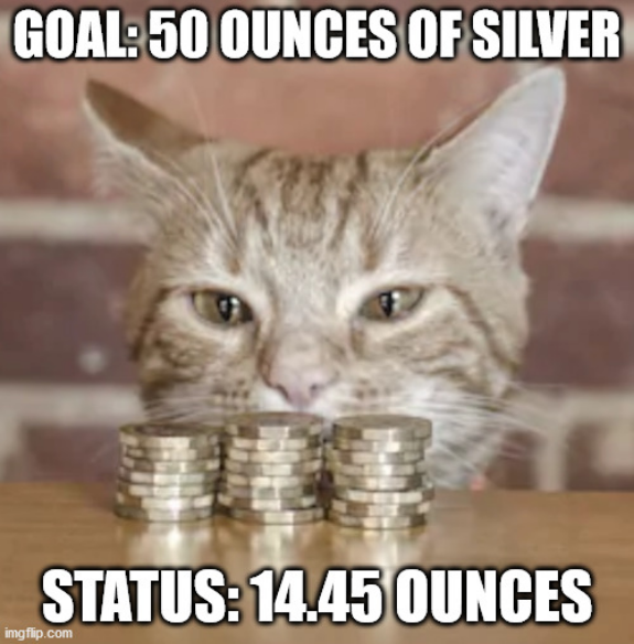 Screenshot_2021-02-05 Kitty cash Meme Generator - Imgflip.png