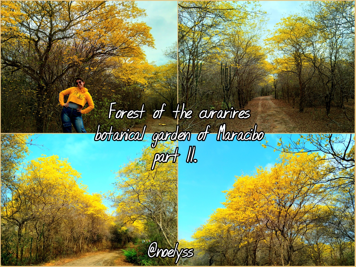 VideoCollagePG_1743075167014.jpg