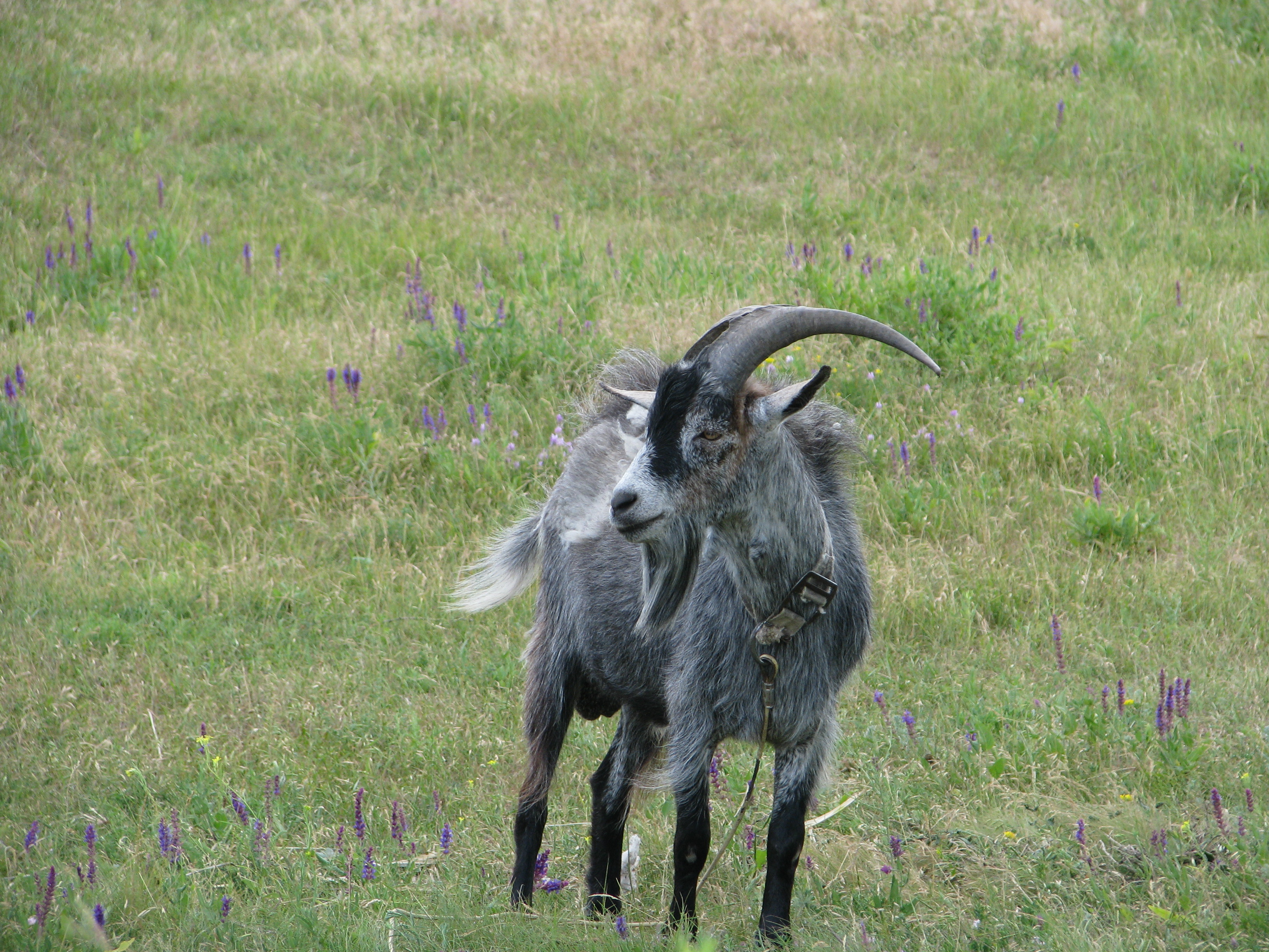 2009.06.14 15.50.07.jpg