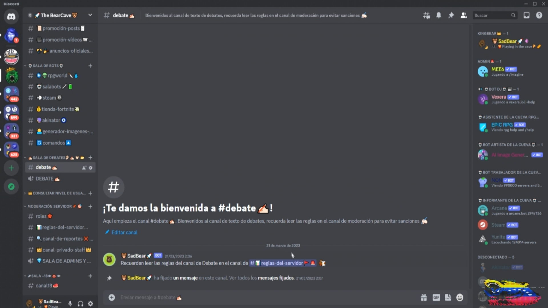 video servidor de discord (22).jpg