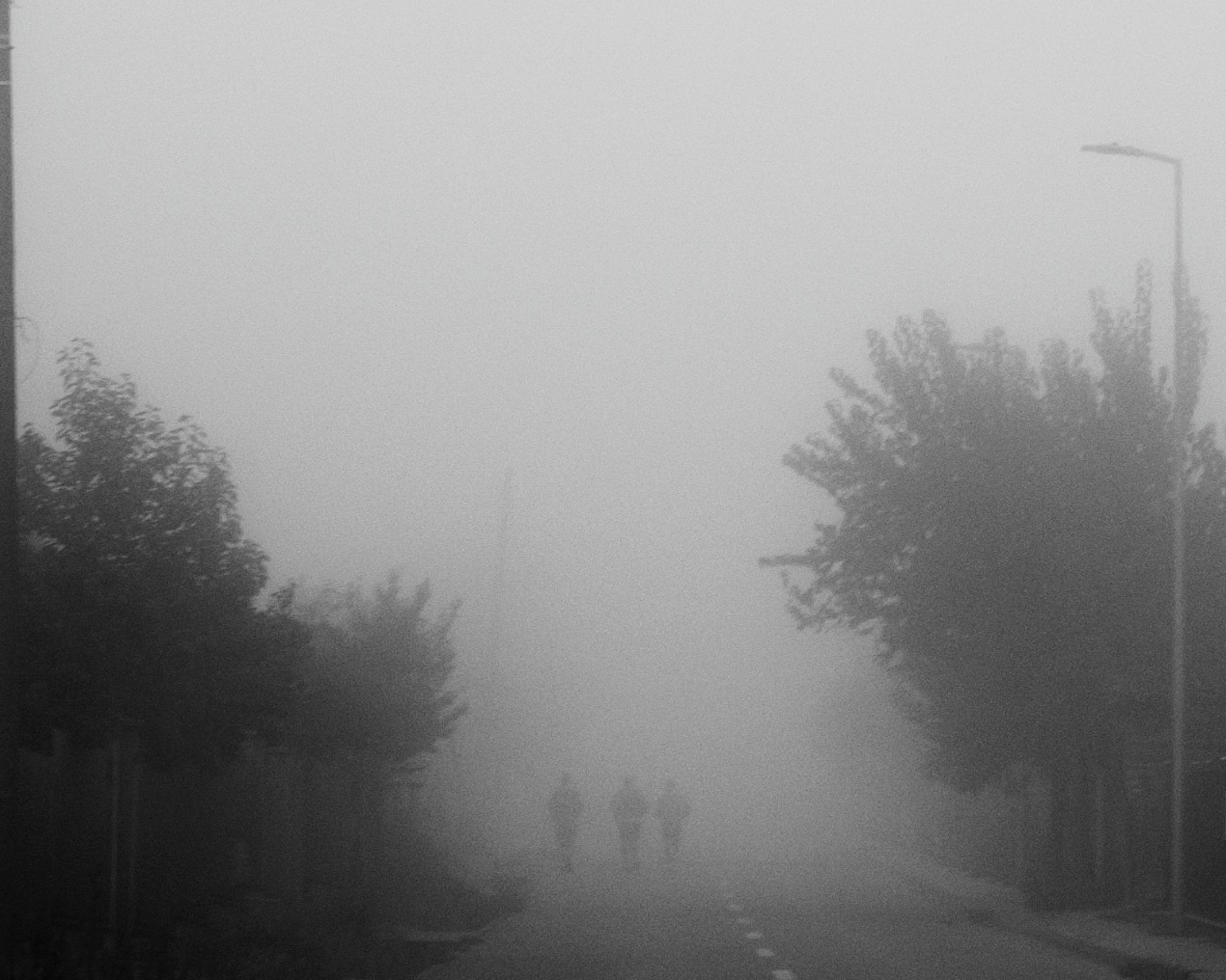 fog3.jpg