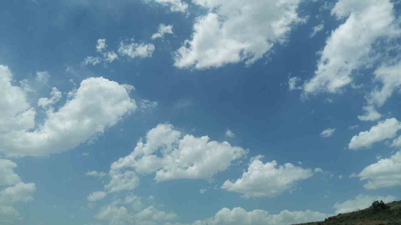 IMG_20250602_123844.jpg