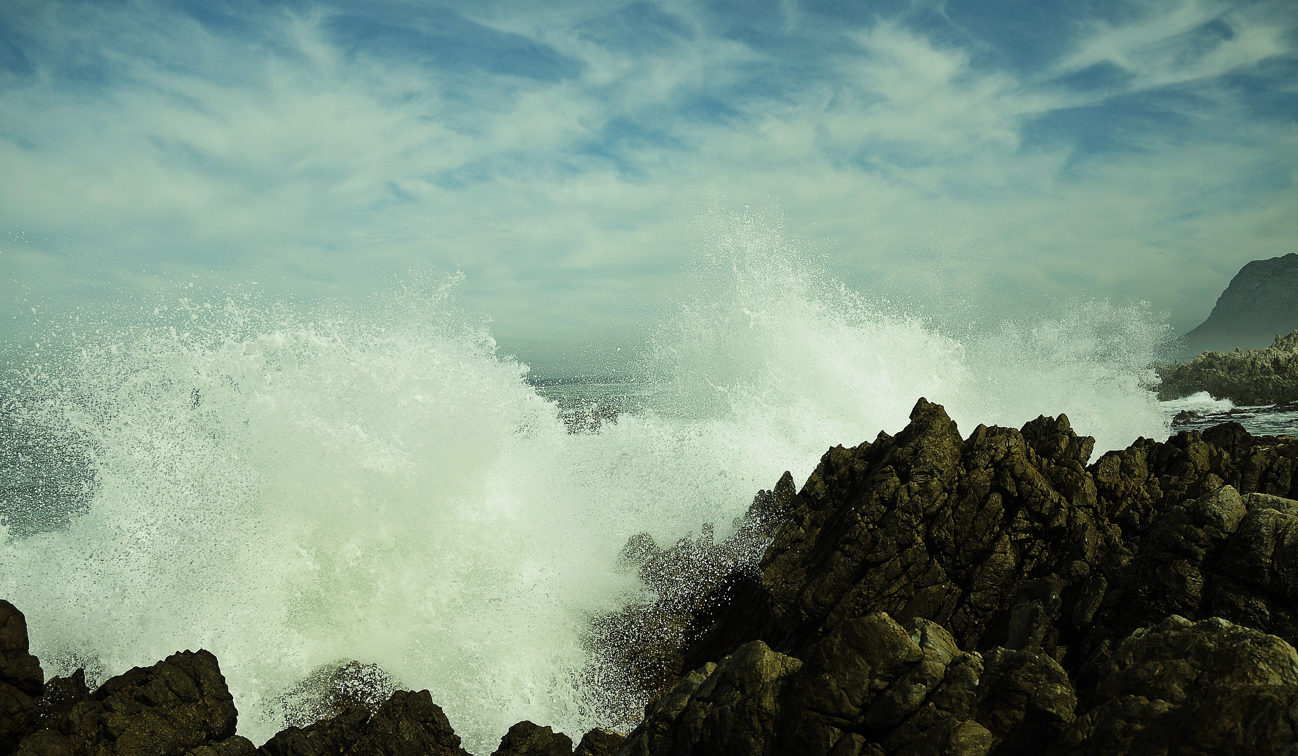 _DSC6763.JPG