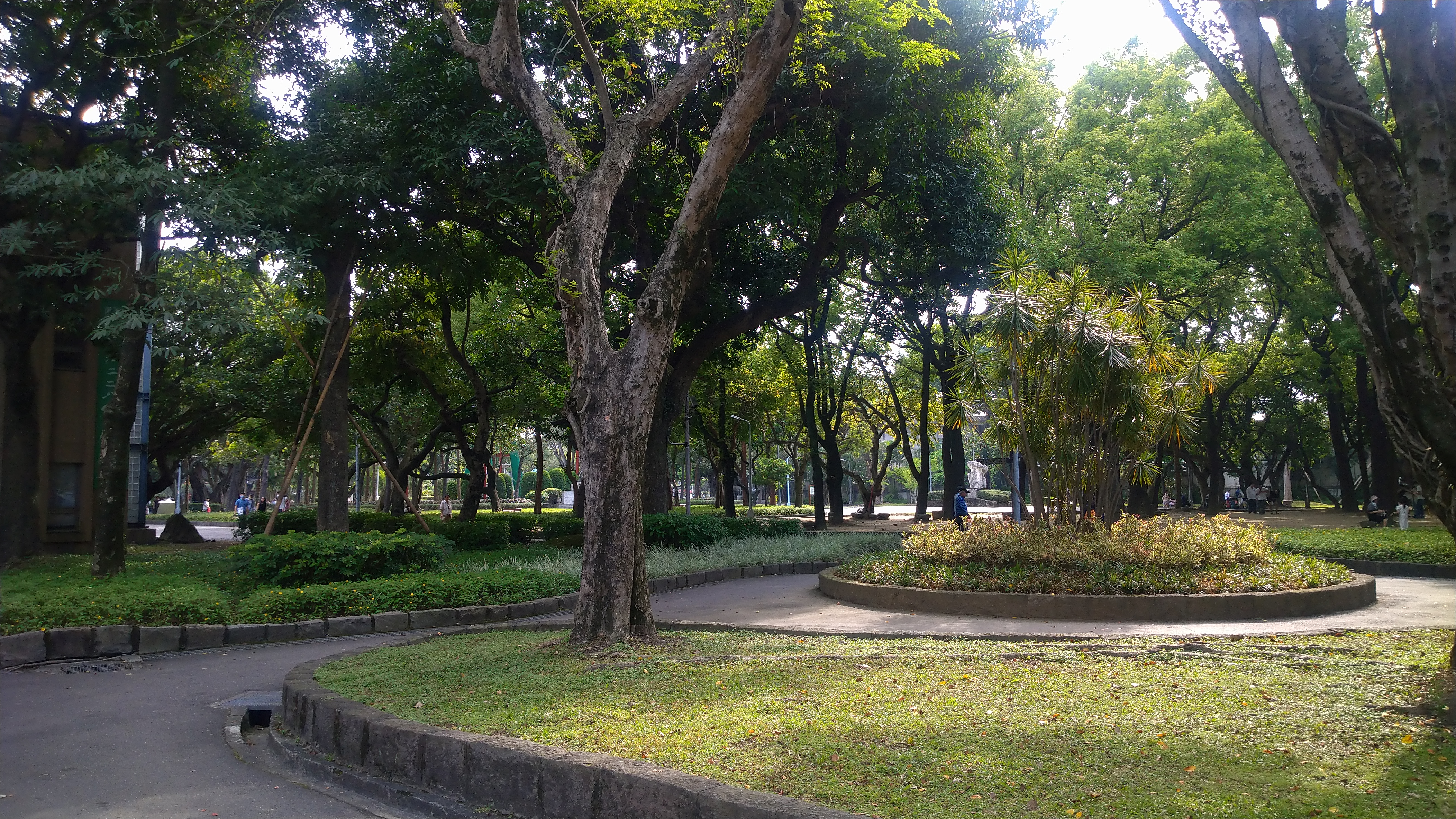 DSC_8624.JPG