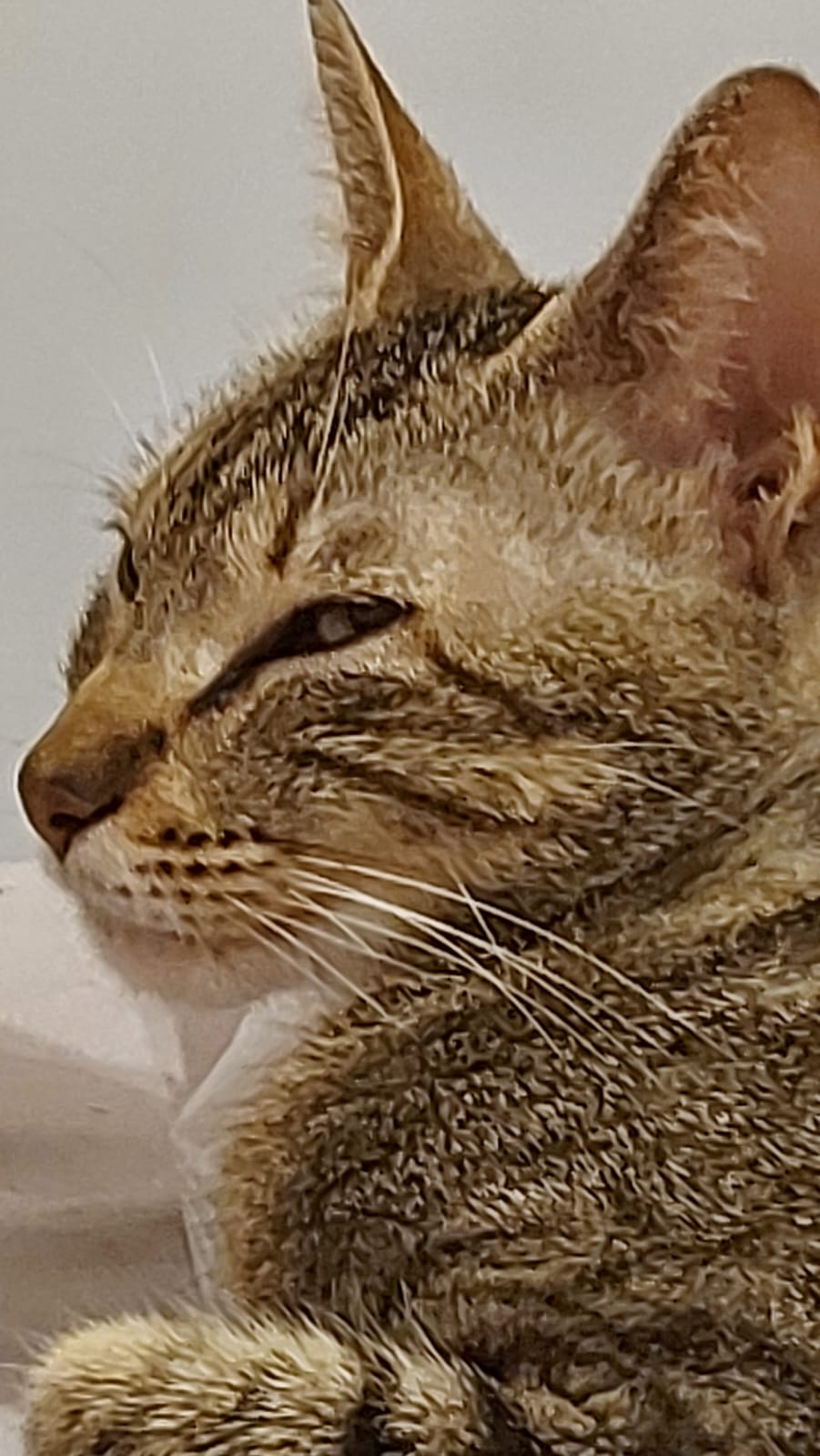 WhatsApp Image 2024-01-15 at 11.03.05 (1).jpeg