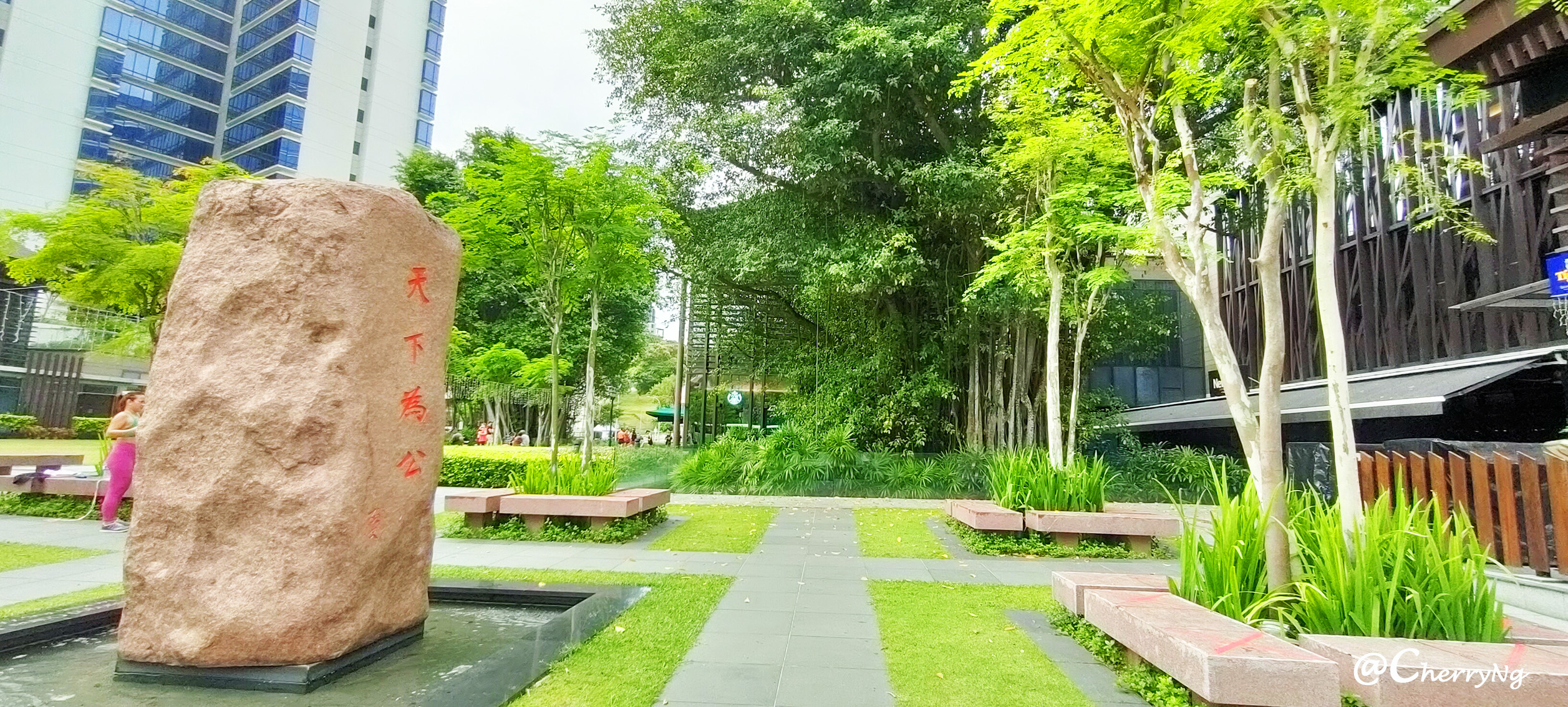 IMG20210822101028 copy.jpg