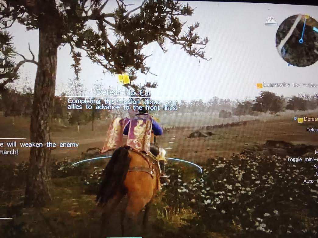 0.jpg