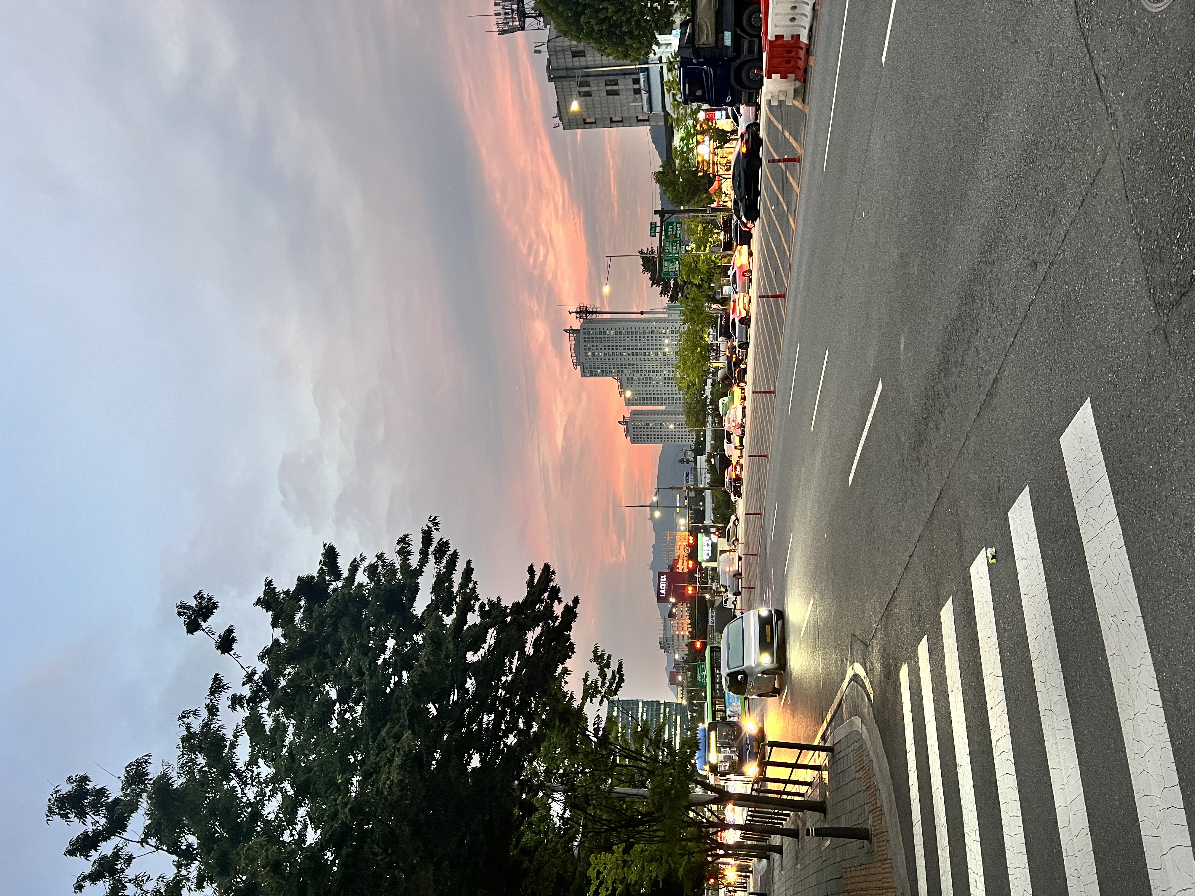IMG_2264.jpeg