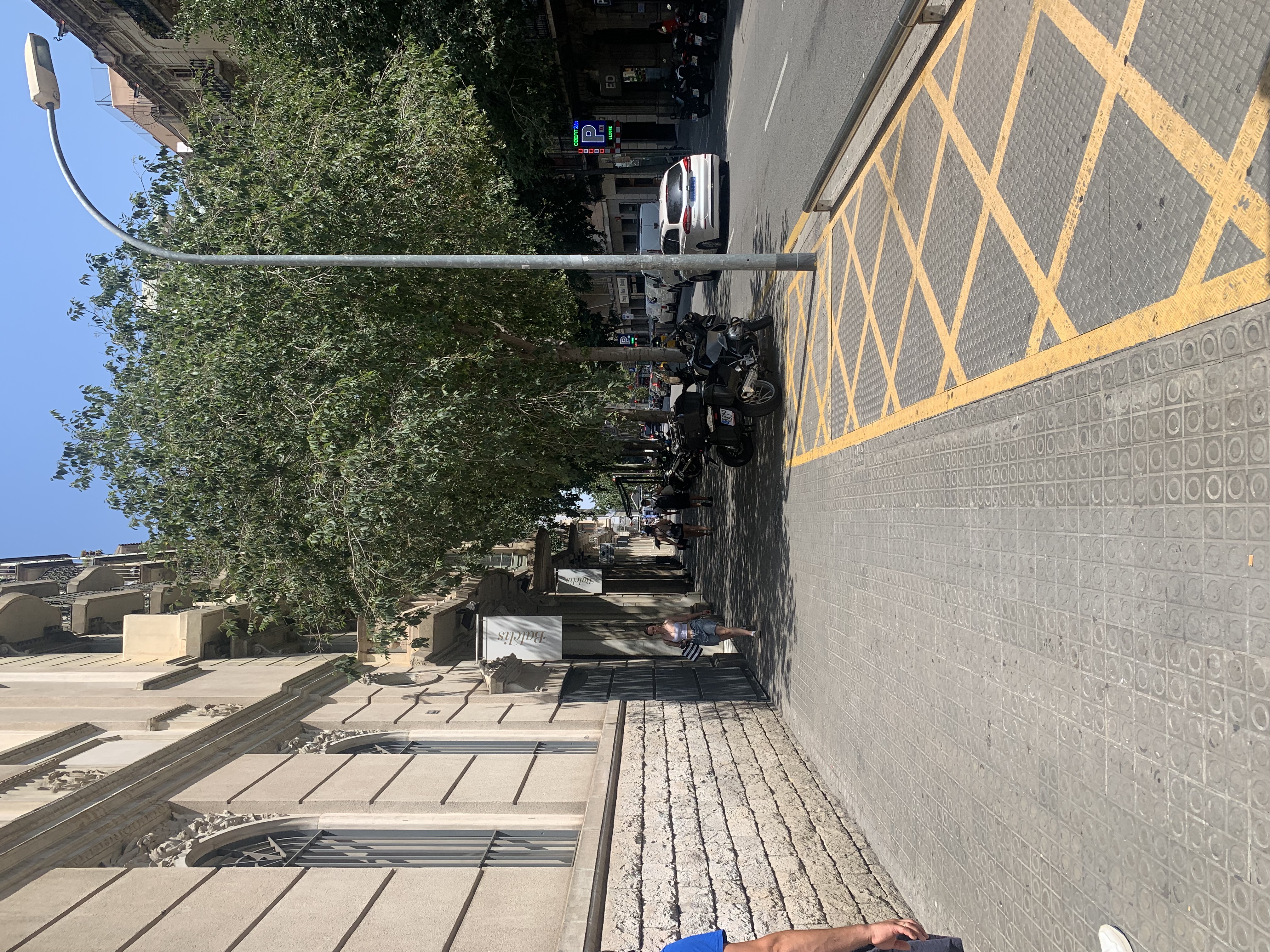 IMG_1867.jpeg