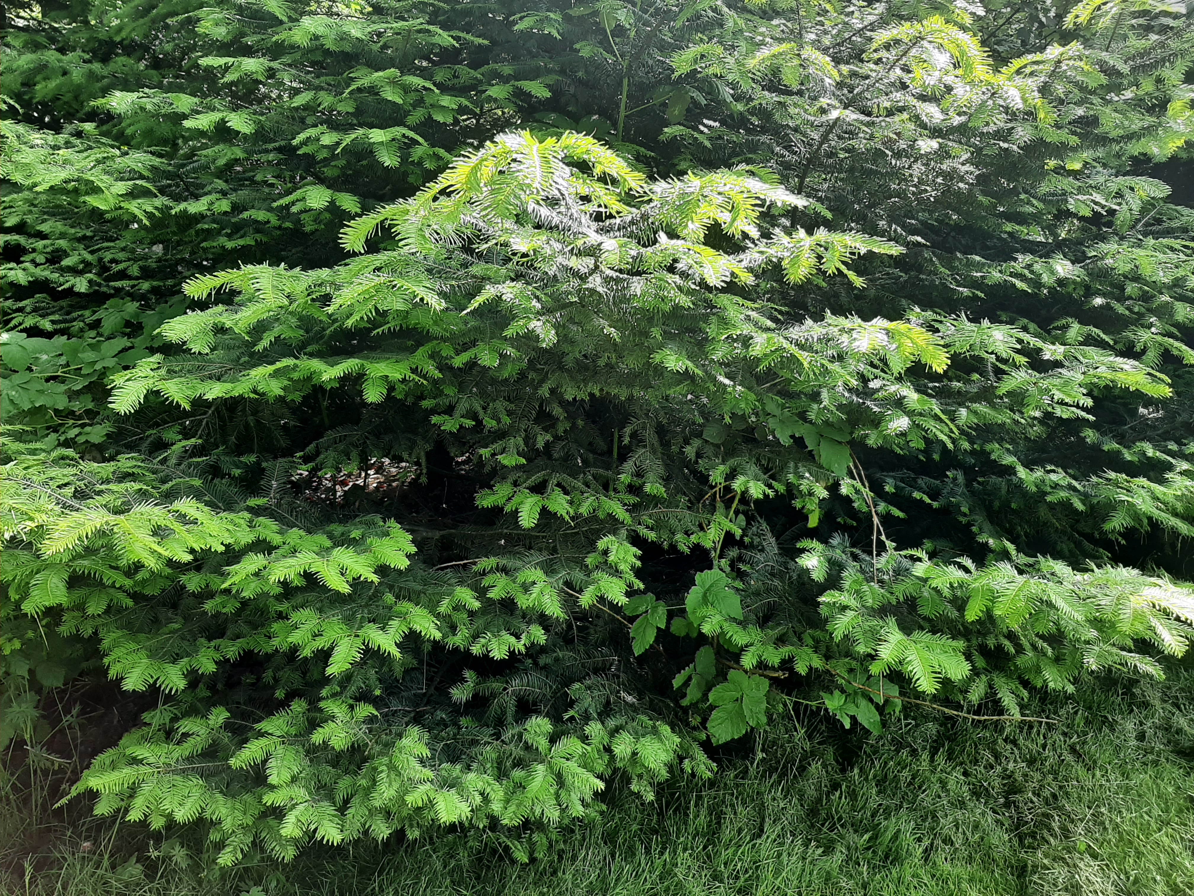 20220610_111743.jpg