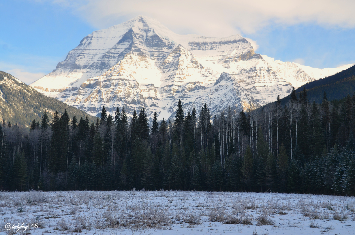 mount robson (3).jpg