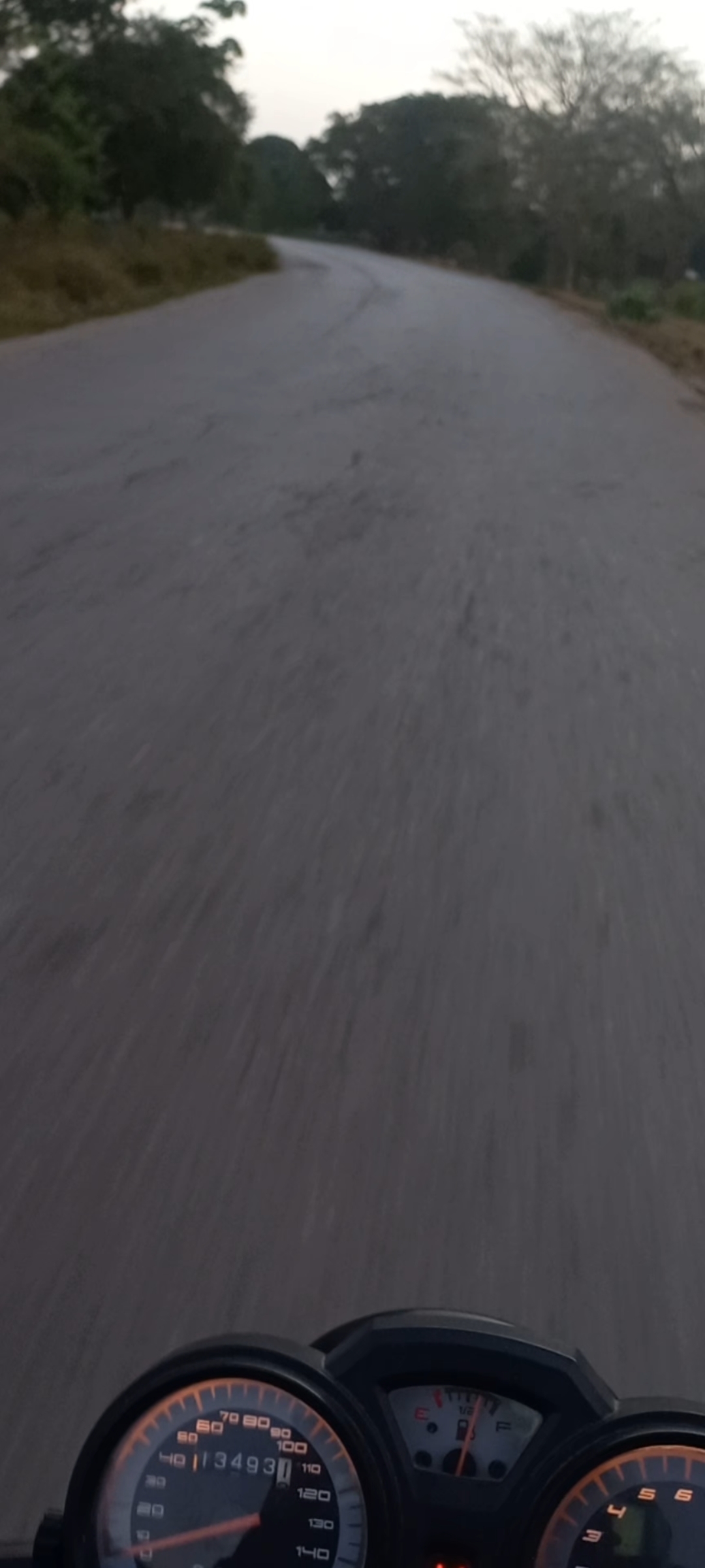 Screenshot_20250203_230127_Gallery.jpg